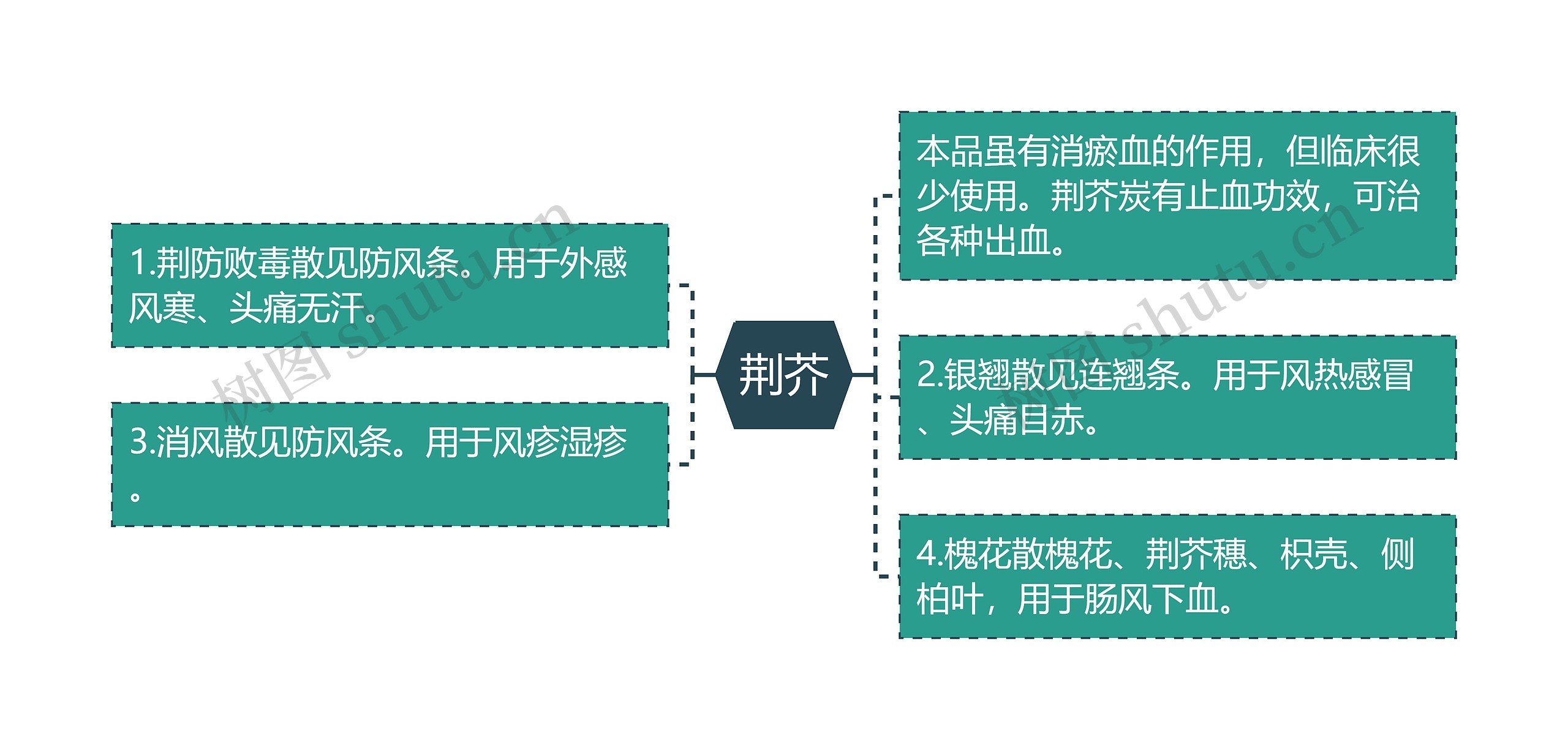 荆芥思维导图