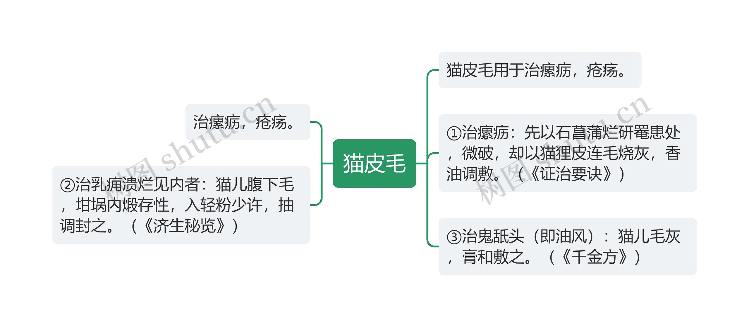 猫皮毛思维导图