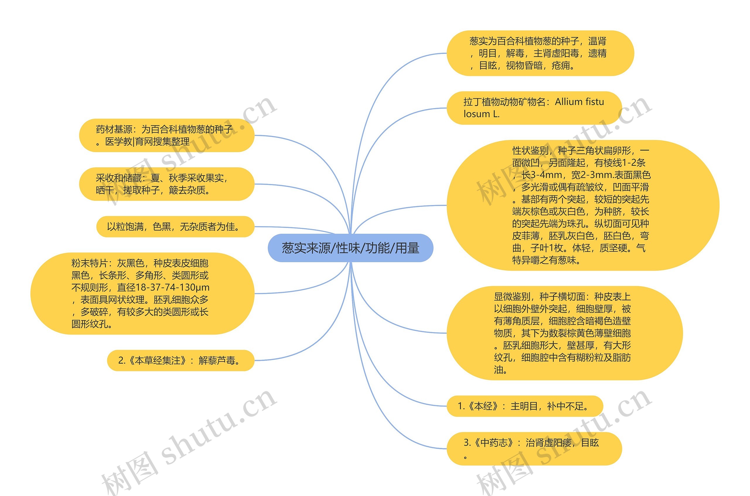 葱实来源/性味/功能/用量