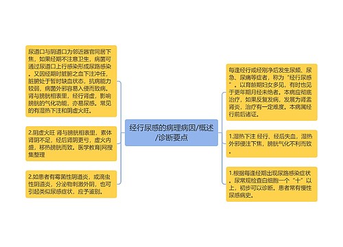 经行尿感的病理病因/概述/诊断要点