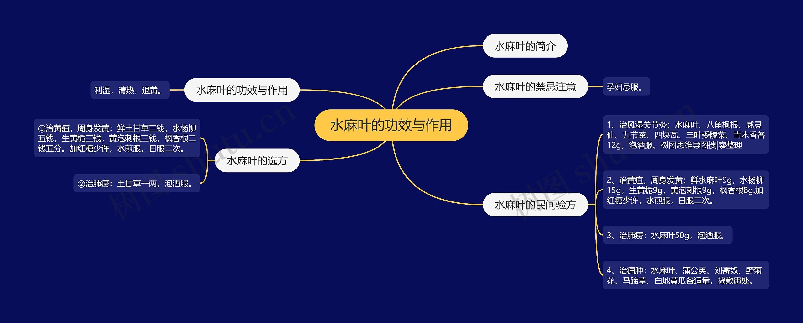 水麻叶的功效与作用 水麻叶的功效与作用
