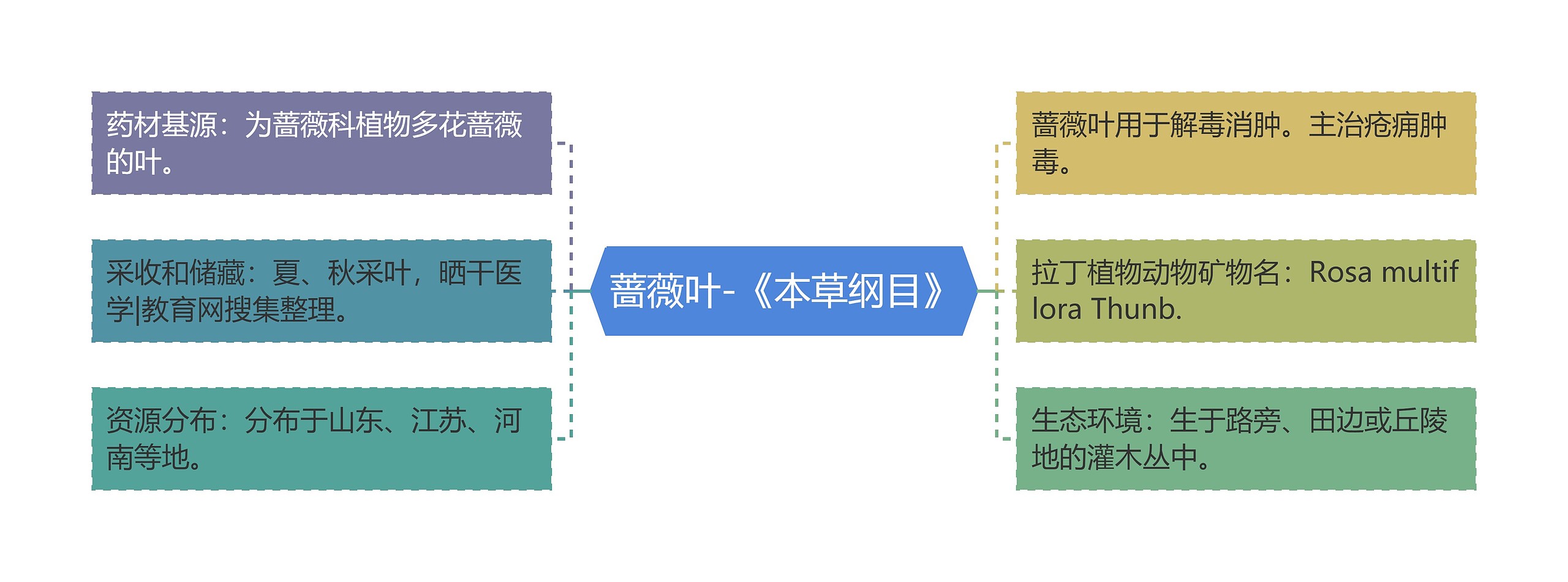 蔷薇叶-《本草纲目》思维导图