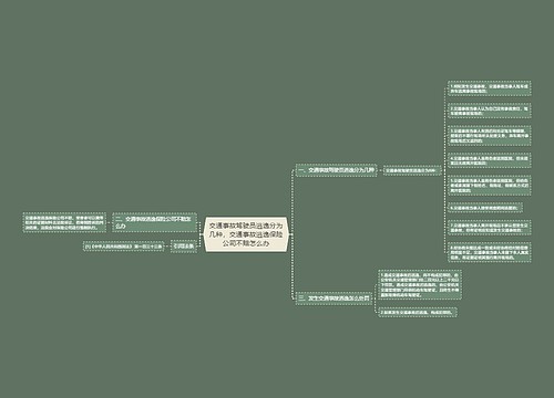 交通事故驾驶员逃逸分为几种,交通事故逃逸保险公司不赔怎么办 交通事故驾驶员逃逸分为几种,交通事故逃逸保险公司不赔怎么办
