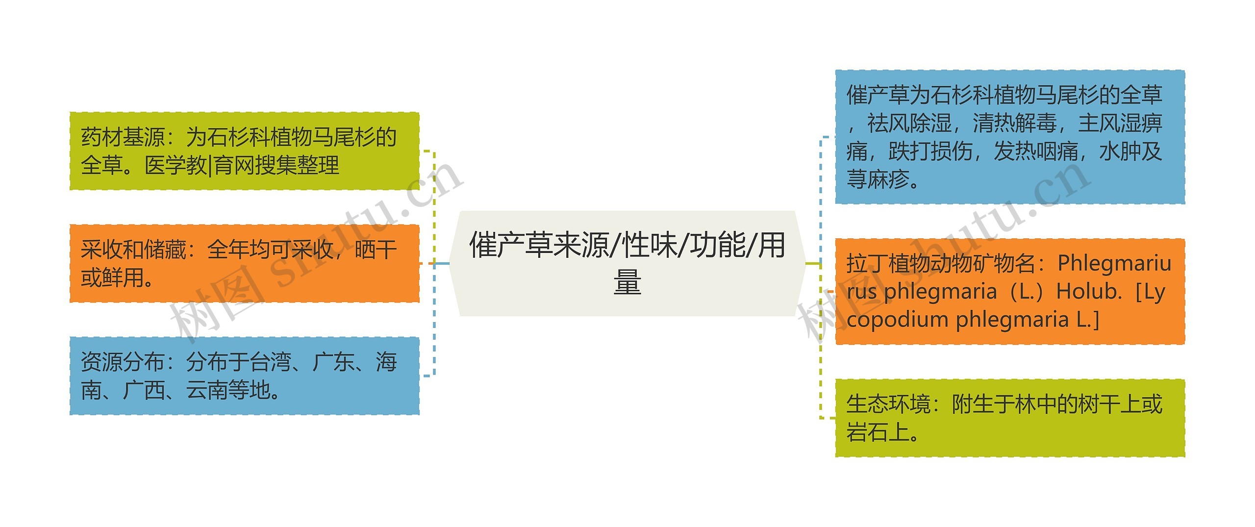 催产草来源/性味/功能/用量思维导图