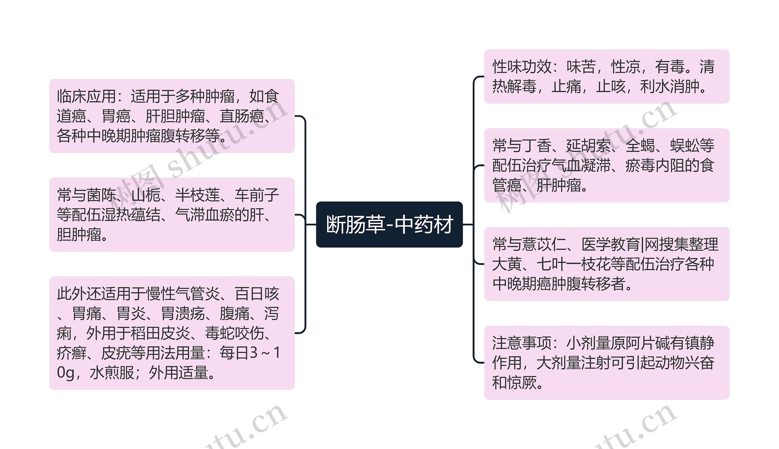 断肠草-中药材思维导图