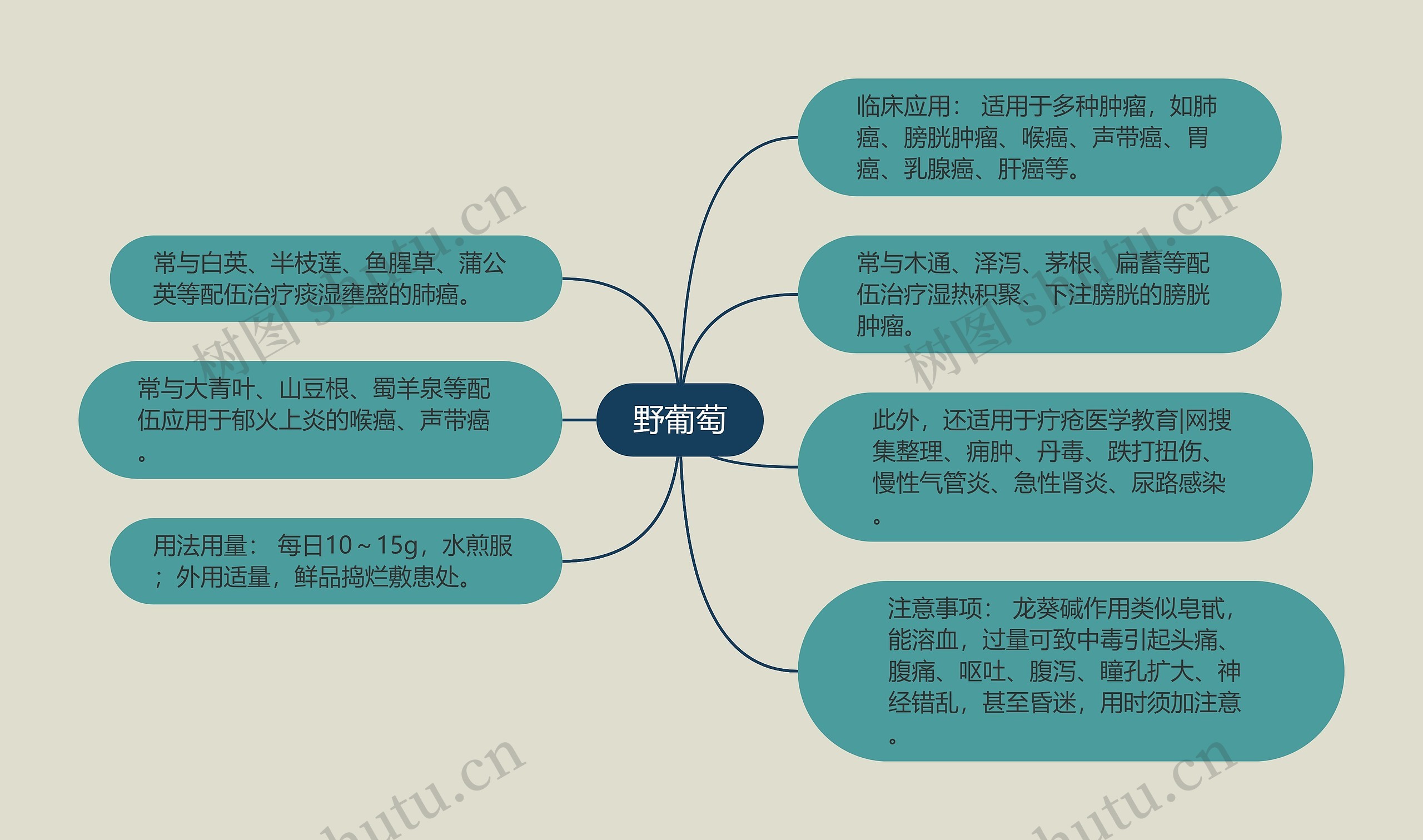 野葡萄思维导图