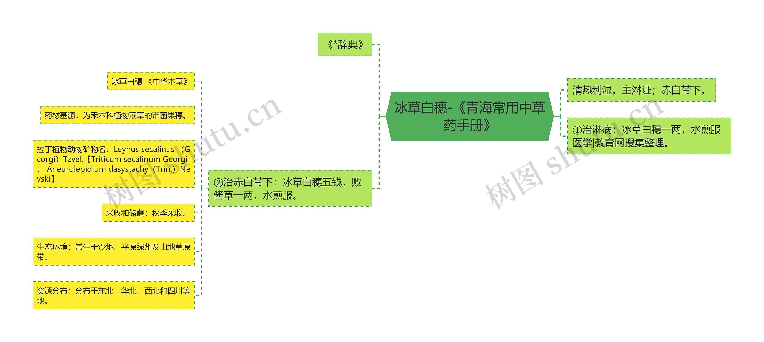 冰草白穗-《青海常用中草药手册》思维导图