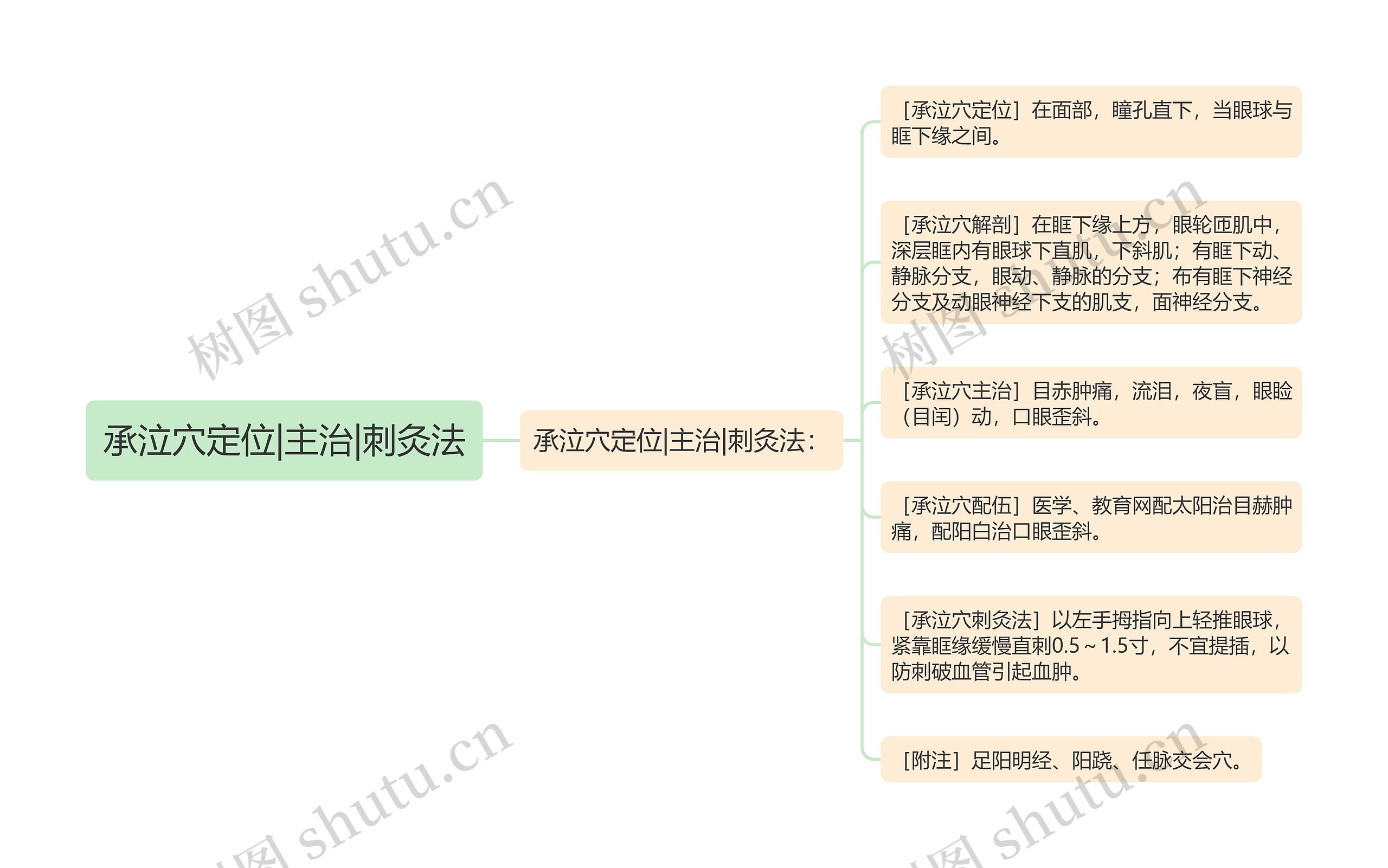 承泣穴定位|主治|刺灸法