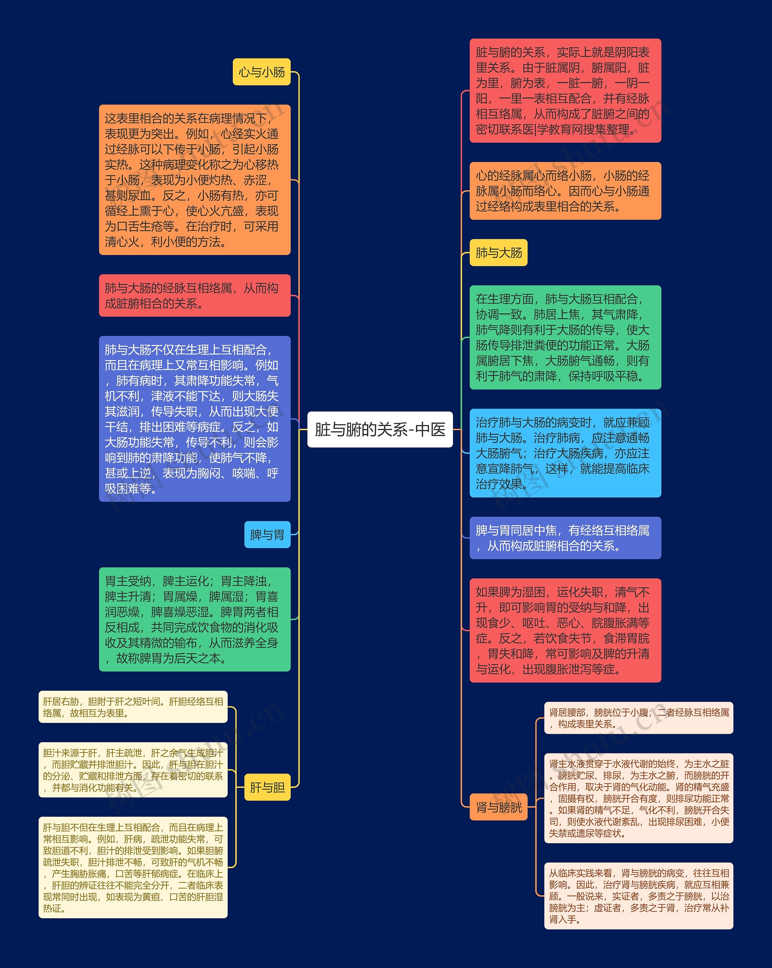 脏与腑的关系-中医思维导图