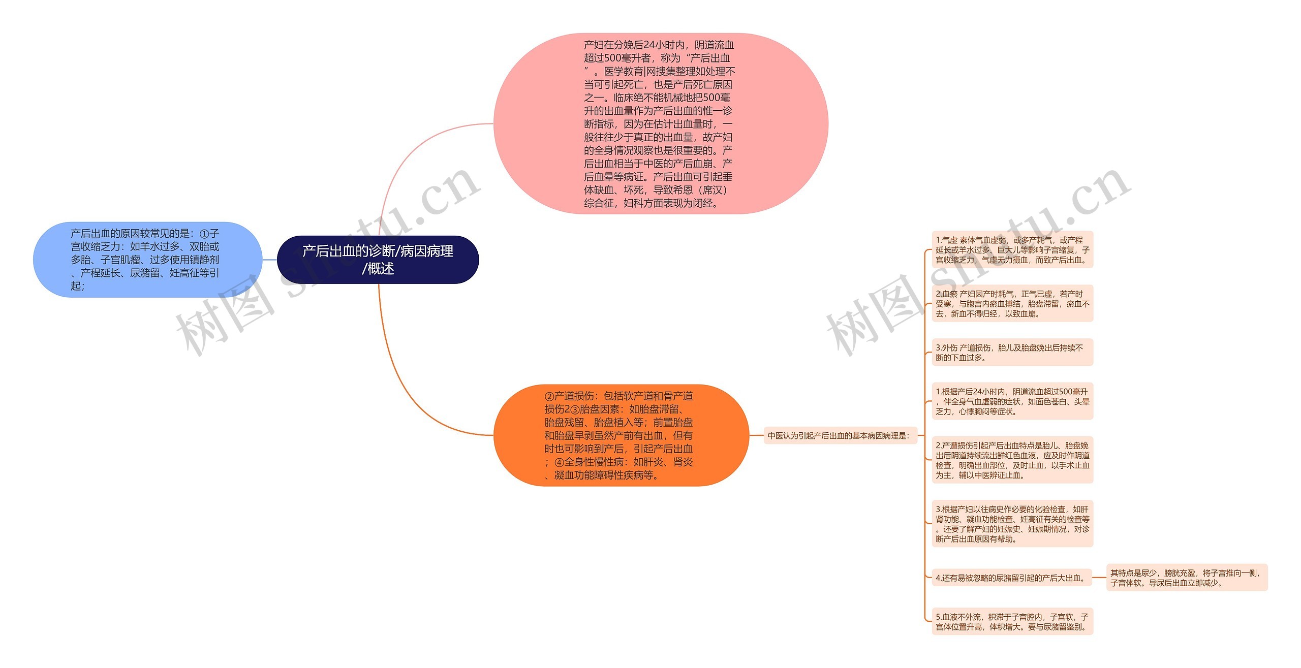 产后出血的诊断/病因病理/概述