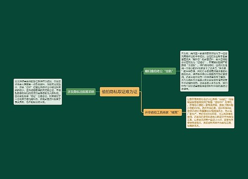 偷拍隐私取证难为证