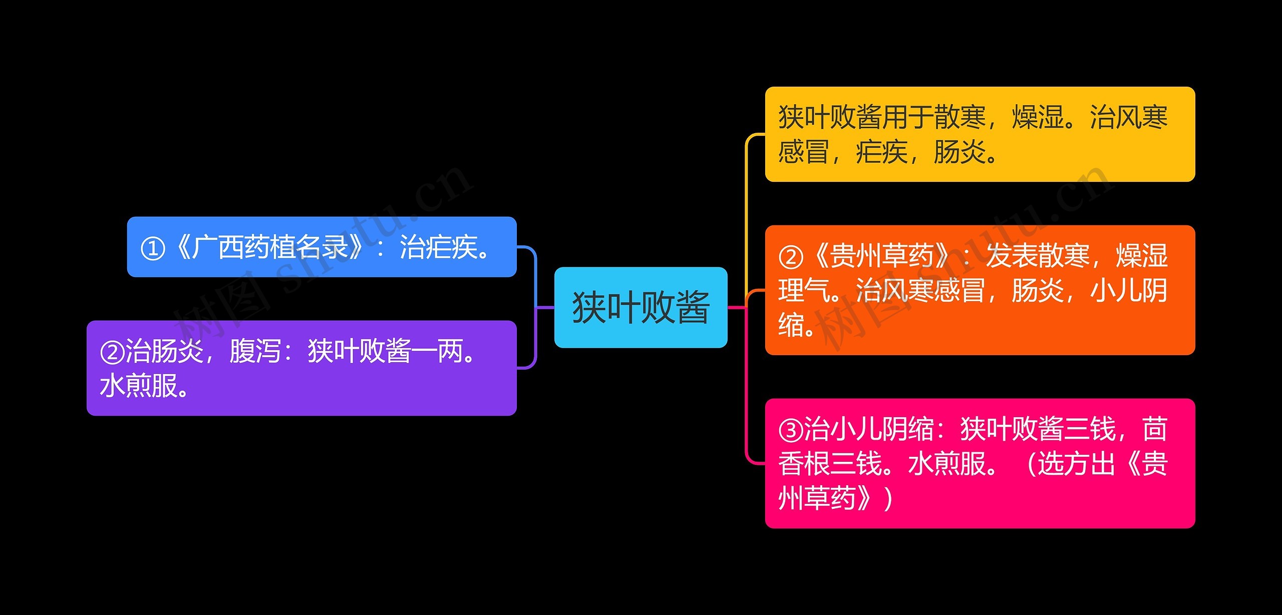 狭叶败酱思维导图