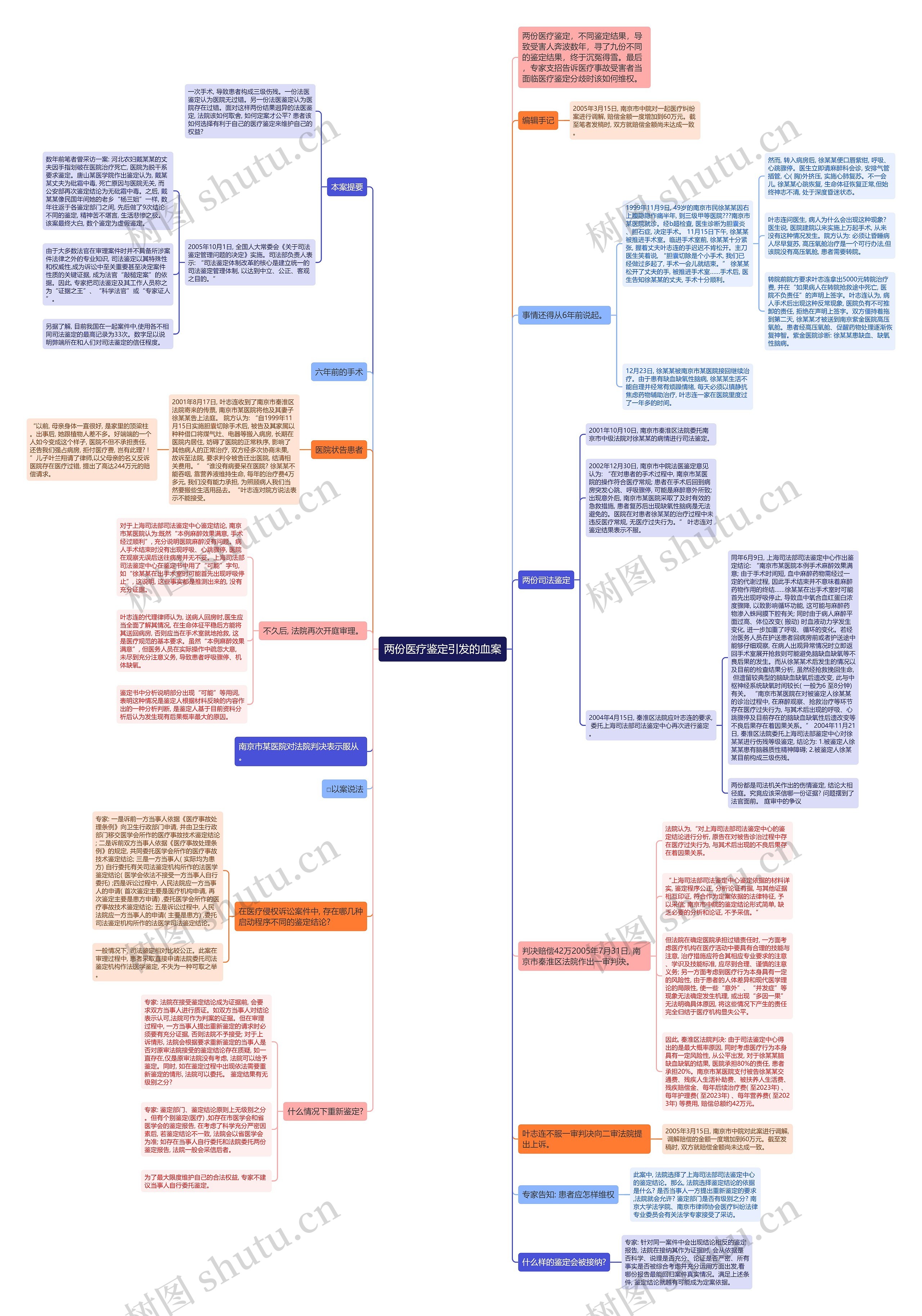 两份医疗鉴定引发的血案思维导图