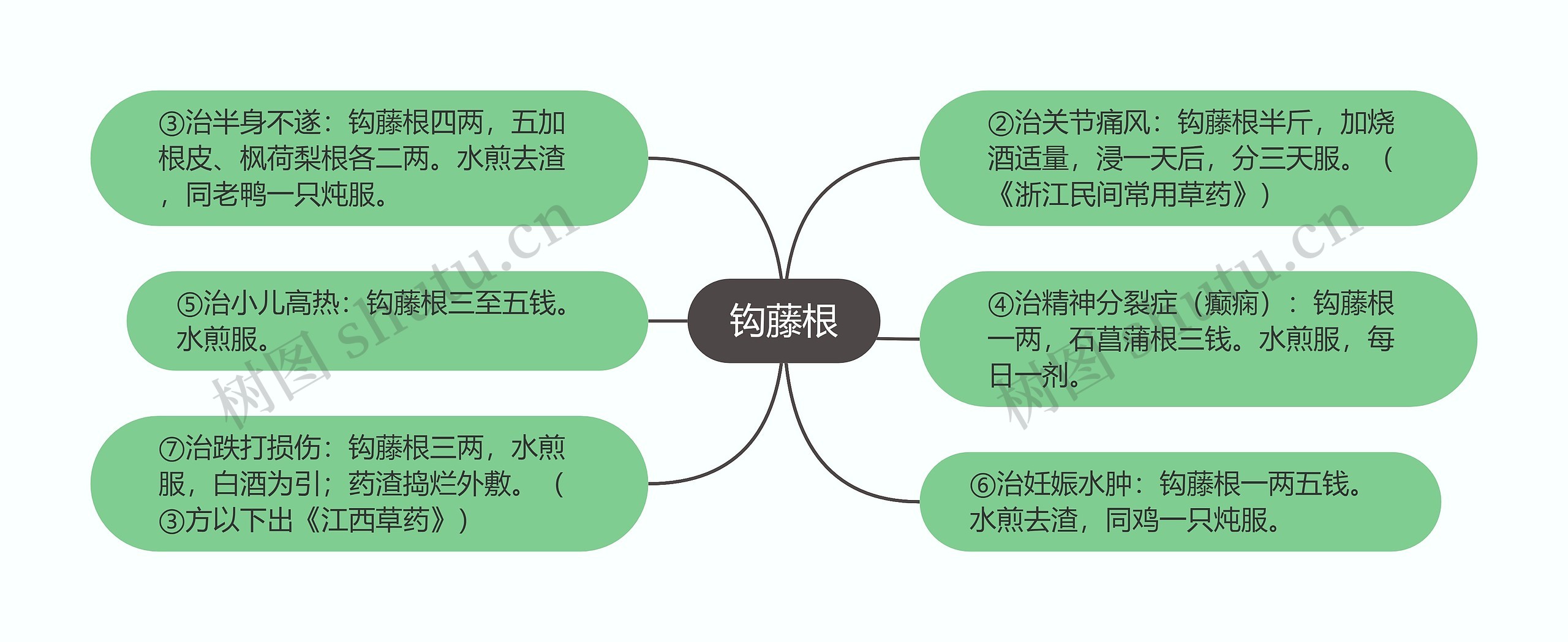 钩藤根思维导图