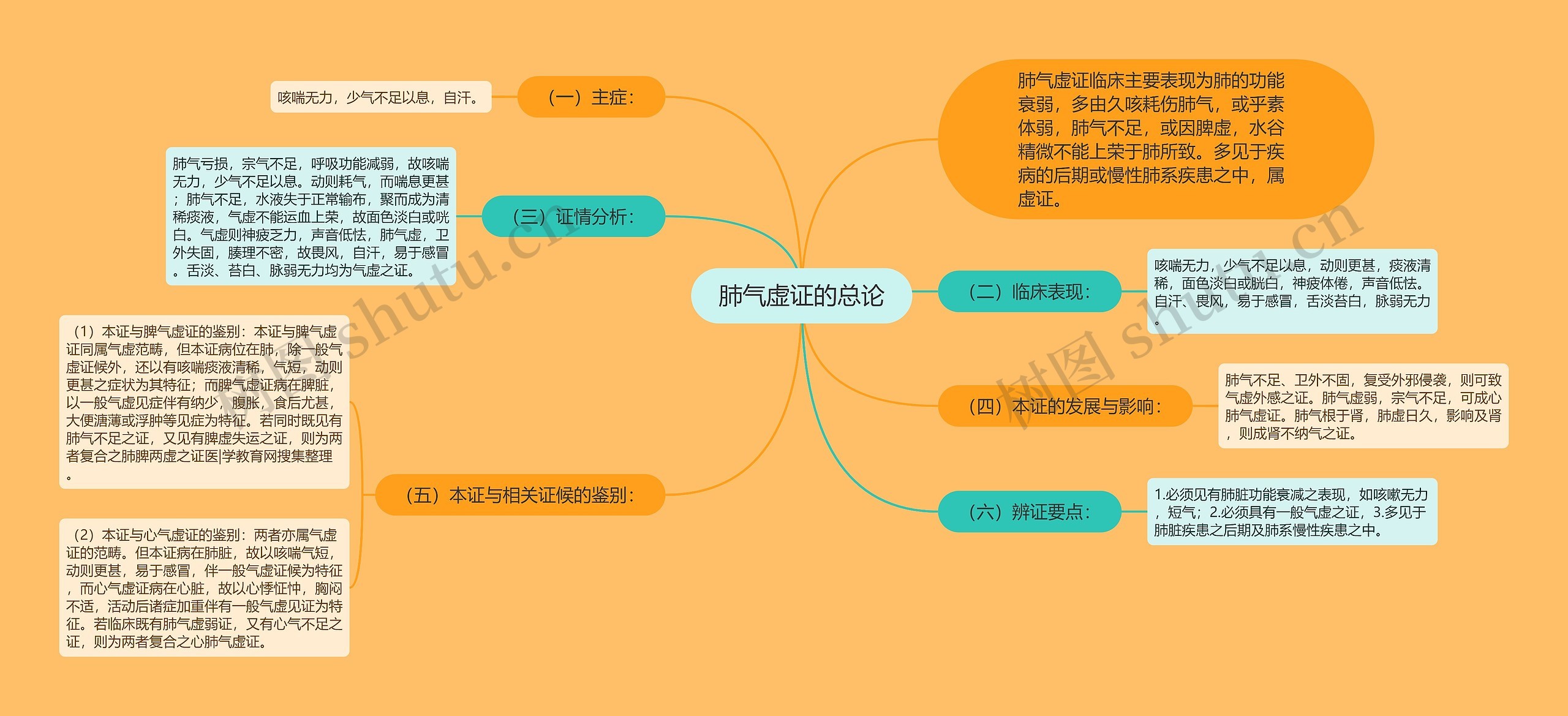 肺气虚证的总论