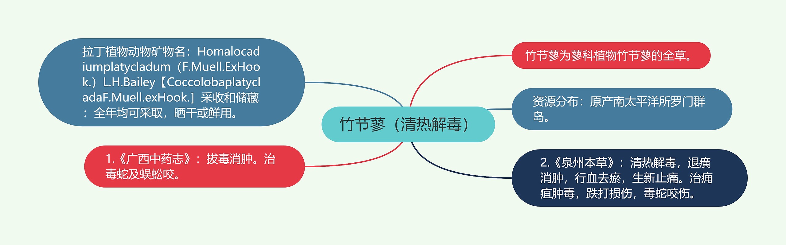 竹节蓼(清热解毒) 竹节蓼(清热解毒)