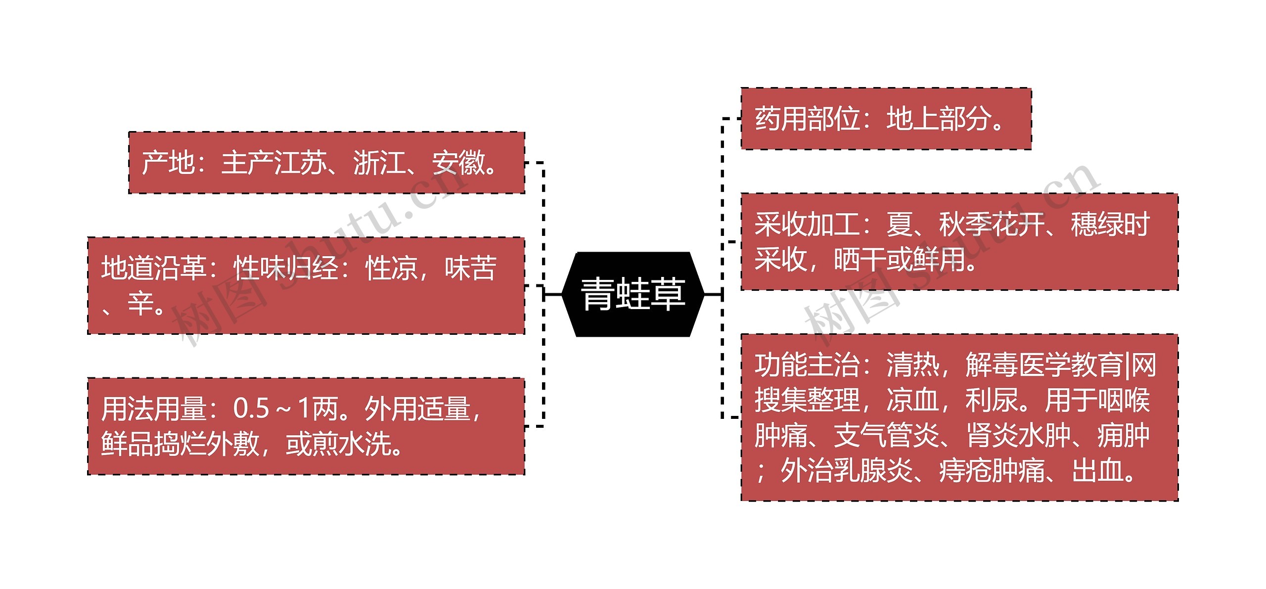 青蛙草思维导图