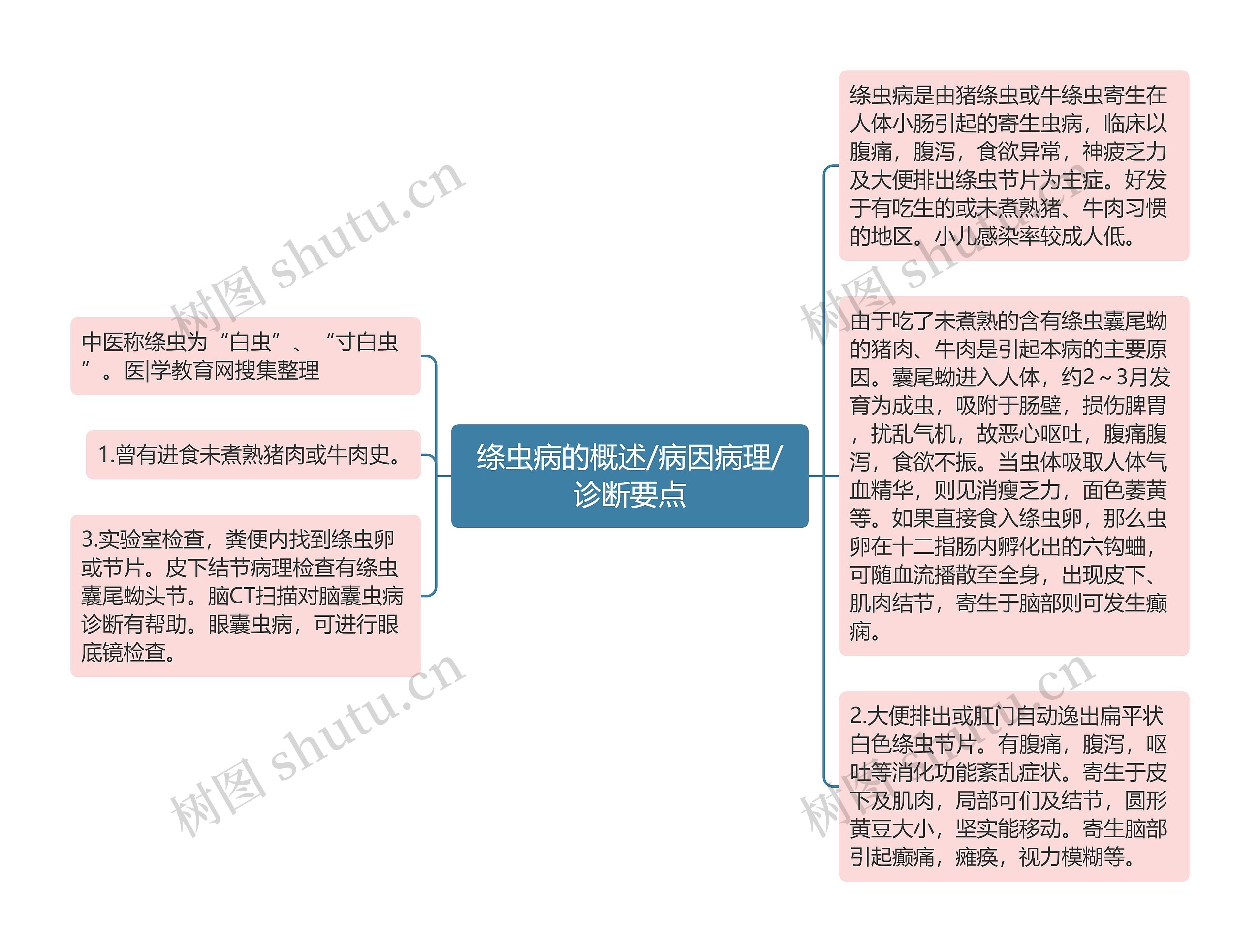 绦虫病的概述/病因病理/诊断要点思维导图