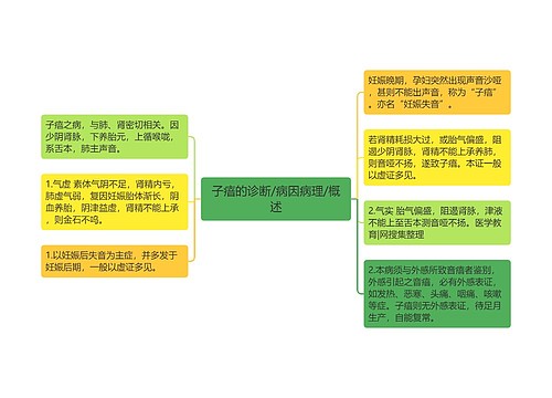 子瘖的诊断/病因病理/概述