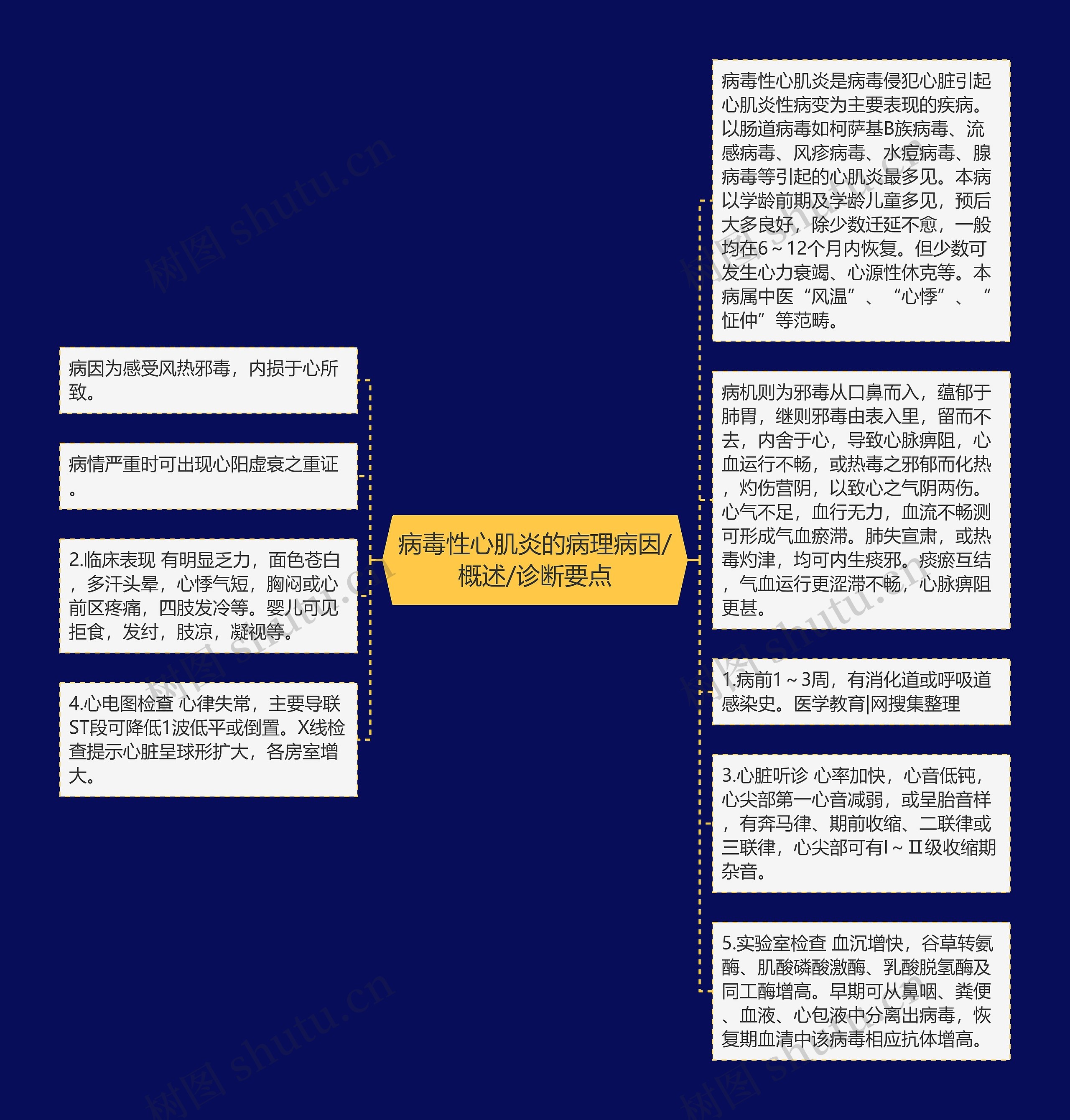 病毒性心肌炎的病理病因/概述/诊断要点 病毒性心肌炎的病理病因/概述/诊断要点