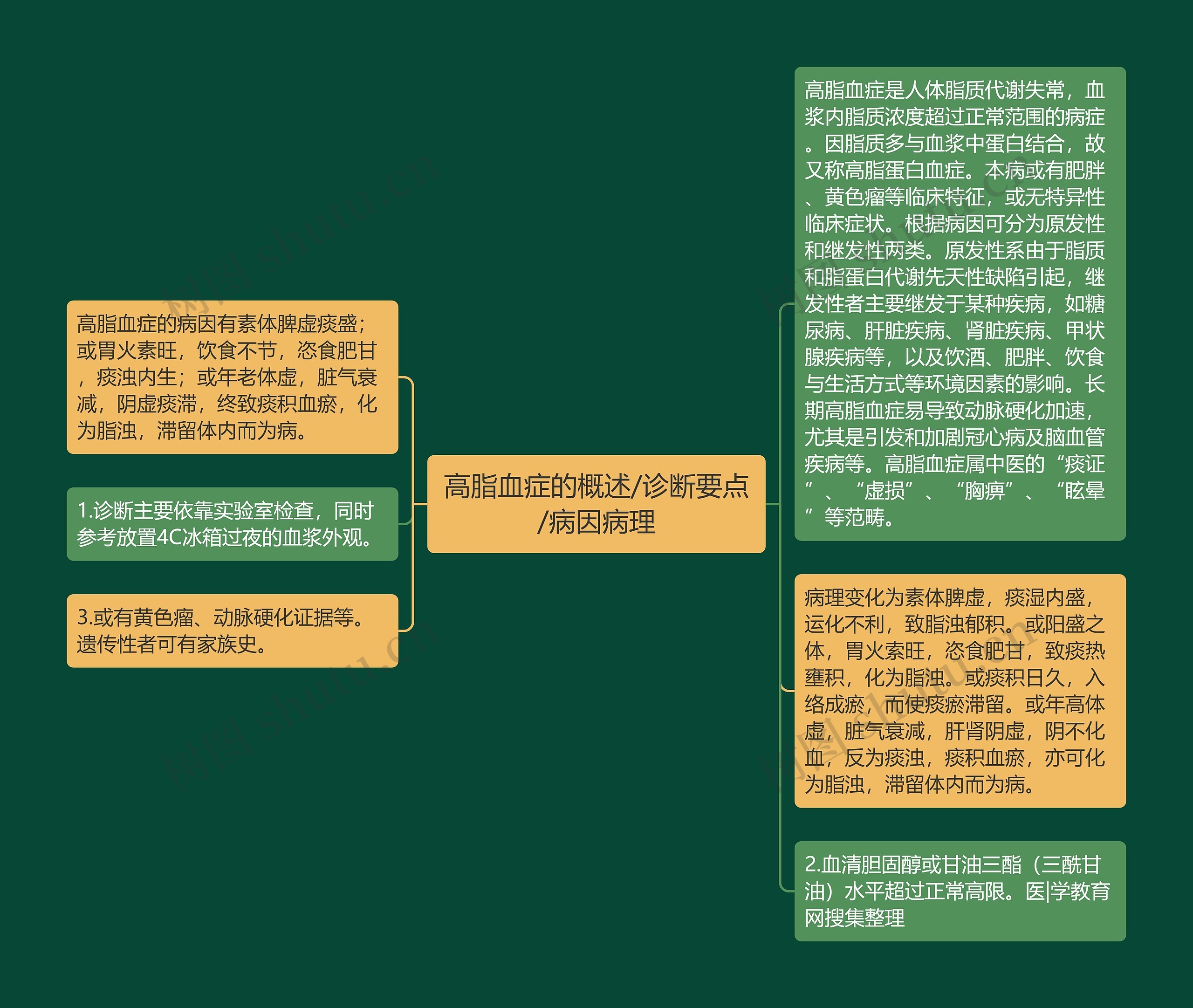 高脂血症的概述/诊断要点/病因病理思维导图