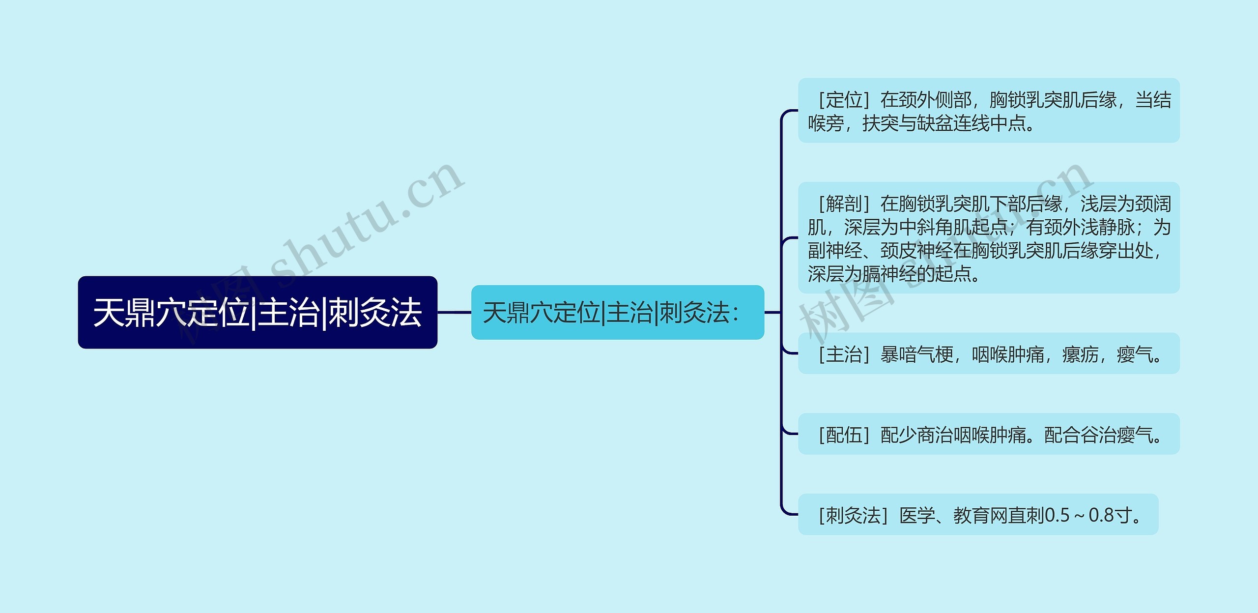 天鼎穴定位|主治|刺灸法思维导图