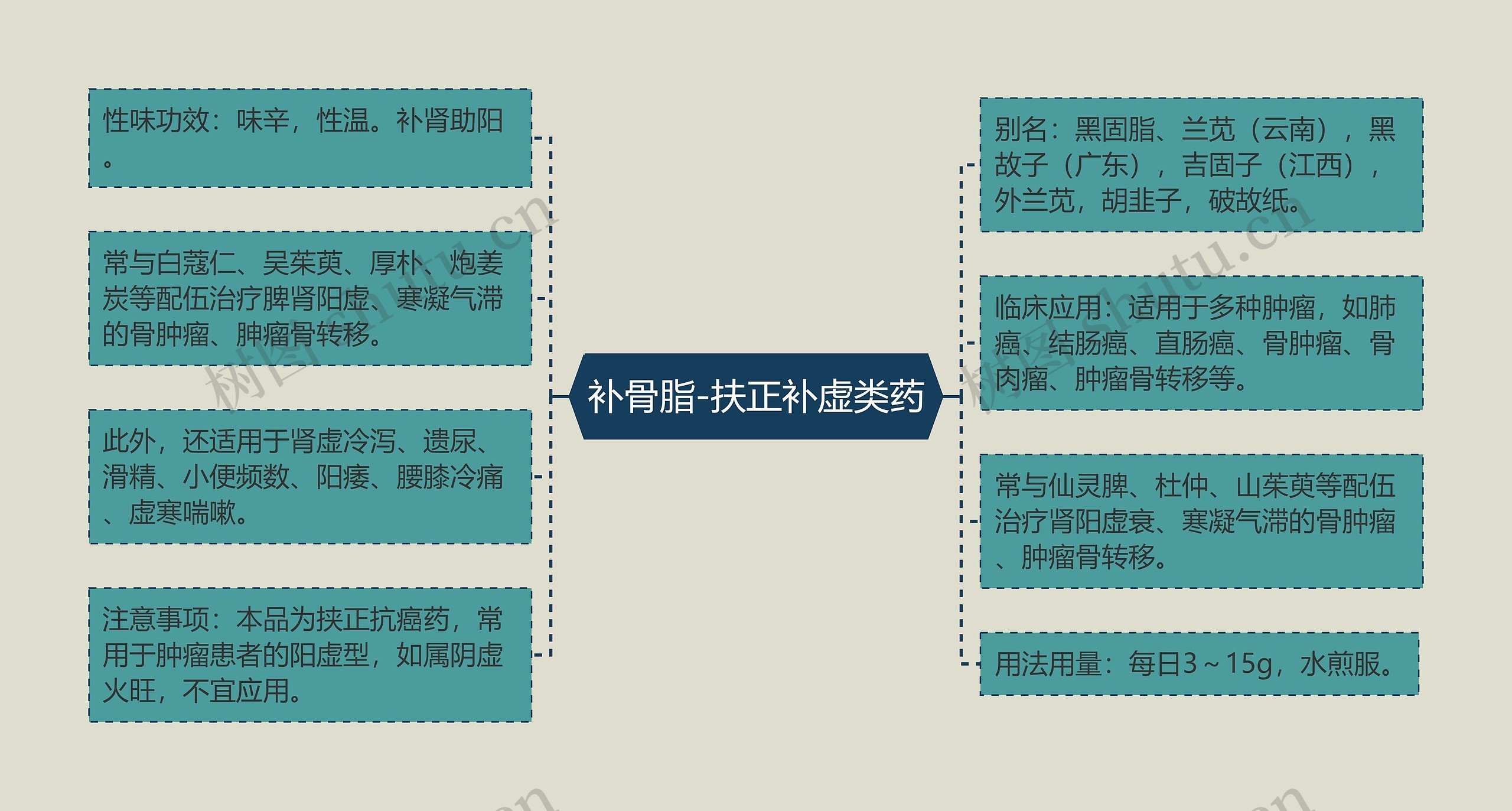 补骨脂-扶正补虚类药思维导图