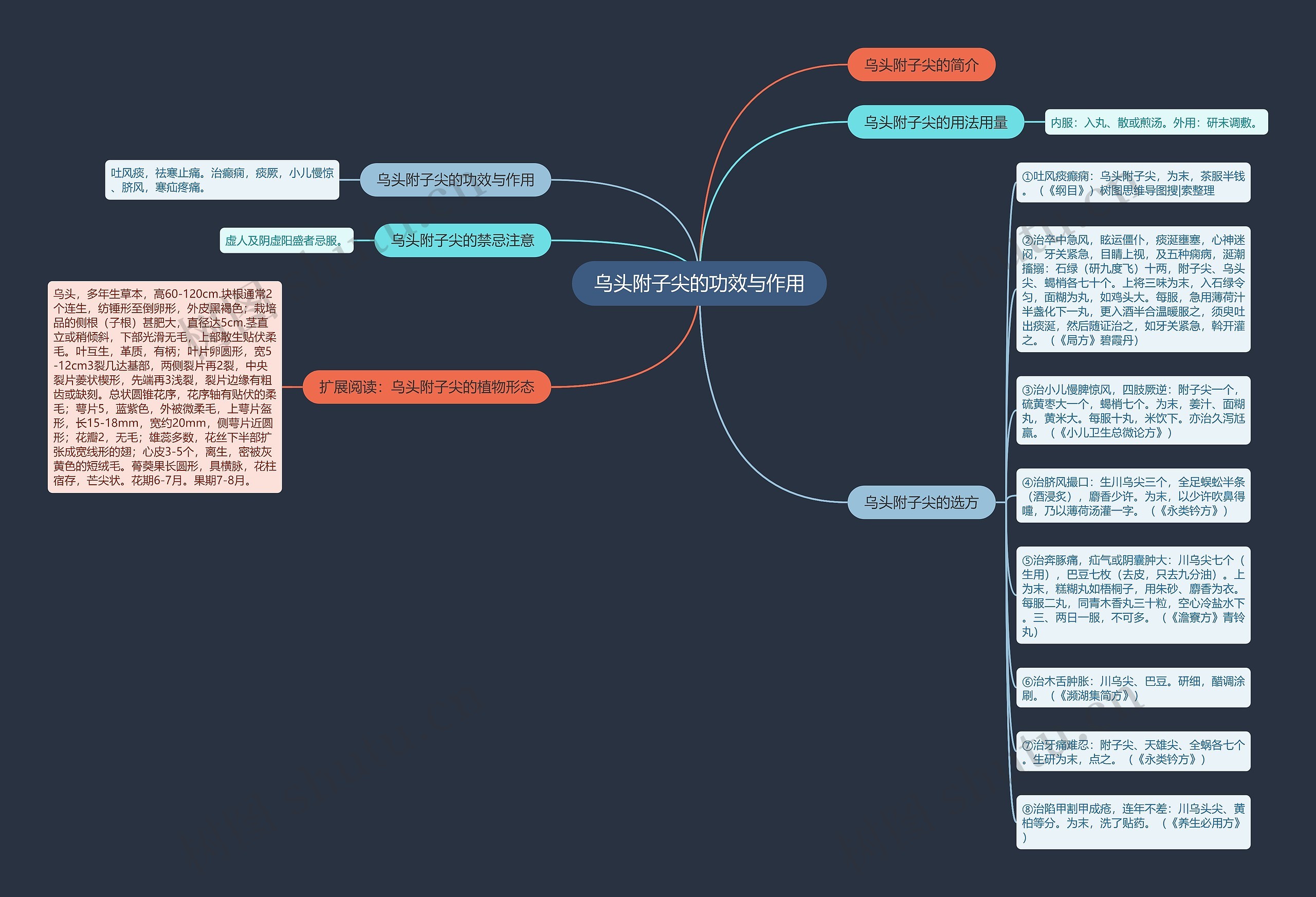 乌头附子尖的功效与作用思维导图