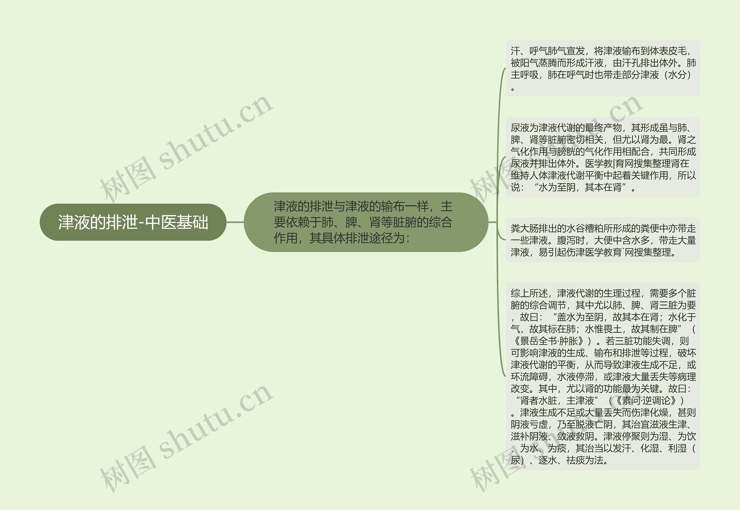 津液的排泄-中医基础思维导图