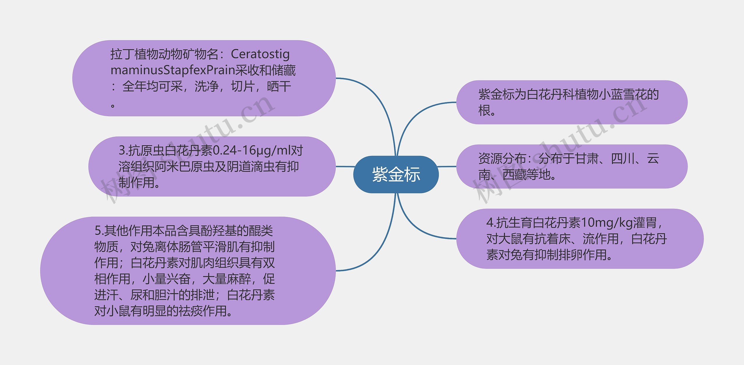 紫金标思维导图