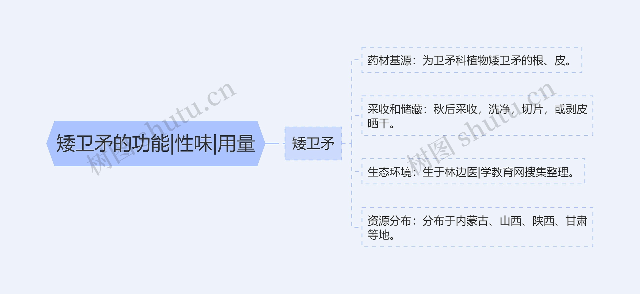 矮卫矛的功能|性味|用量 矮卫矛的功能|性味|用量