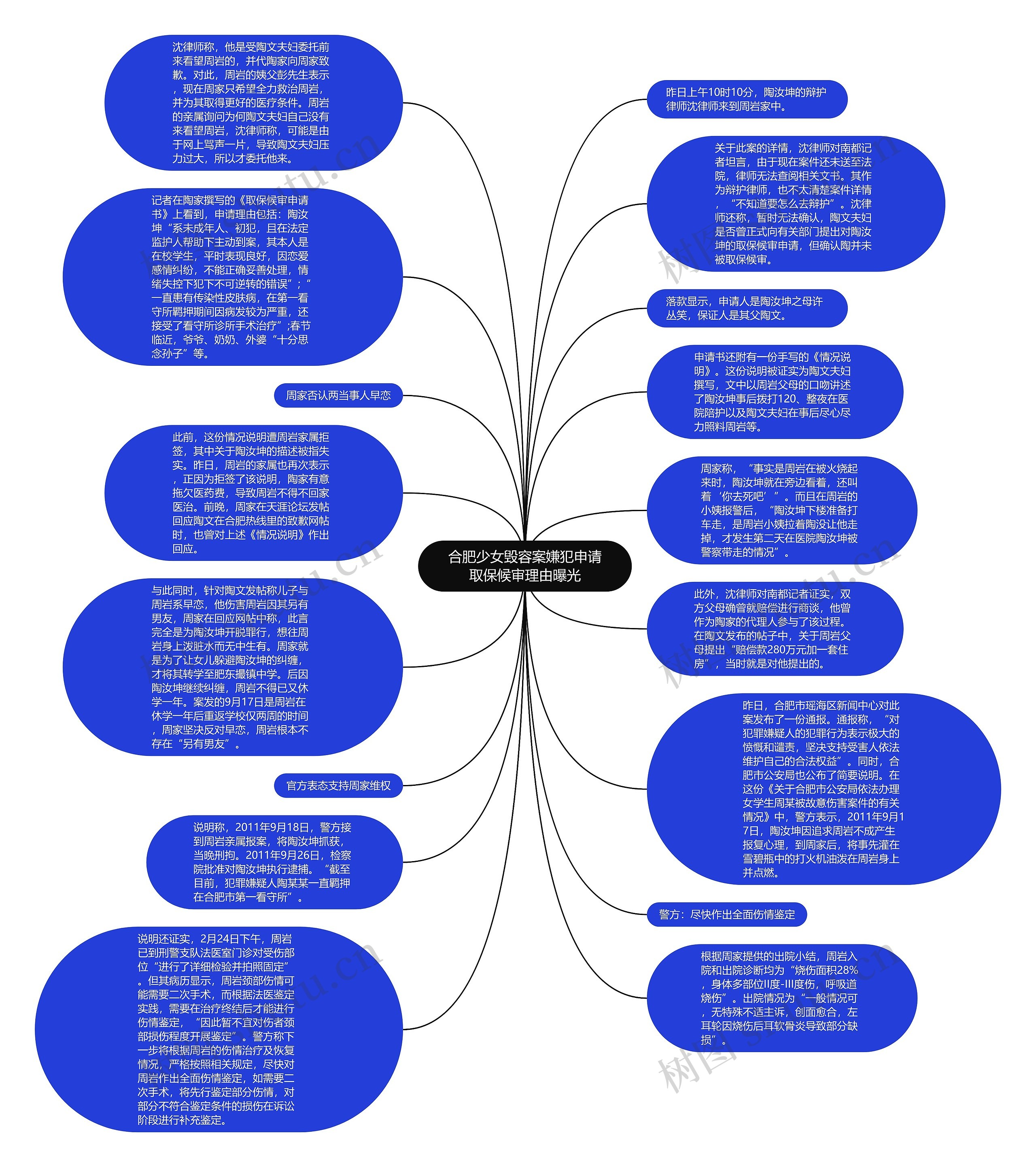 合肥少女毁容案嫌犯申请取保候审理由曝光思维导图