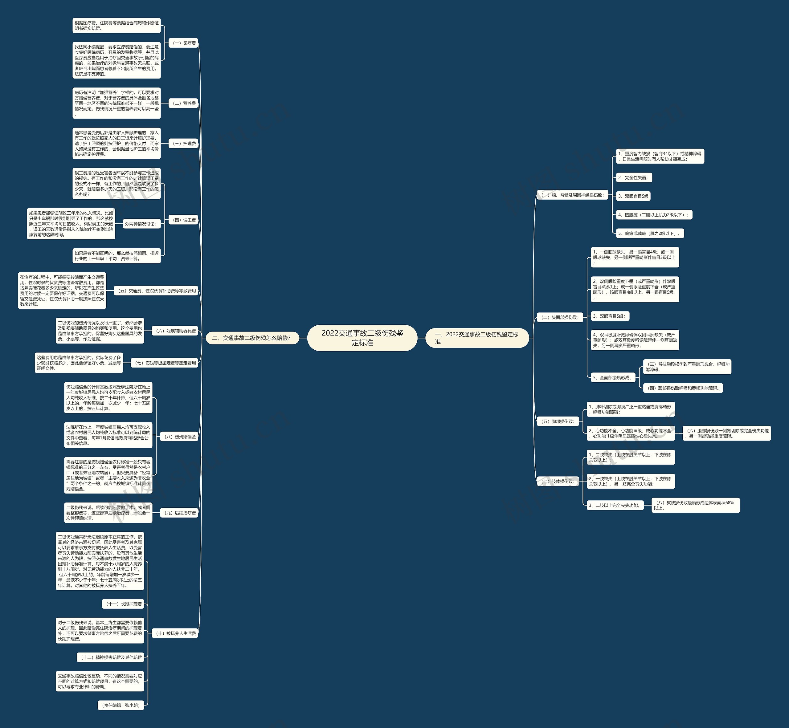 2022交通事故二级伤残鉴定标准思维导图