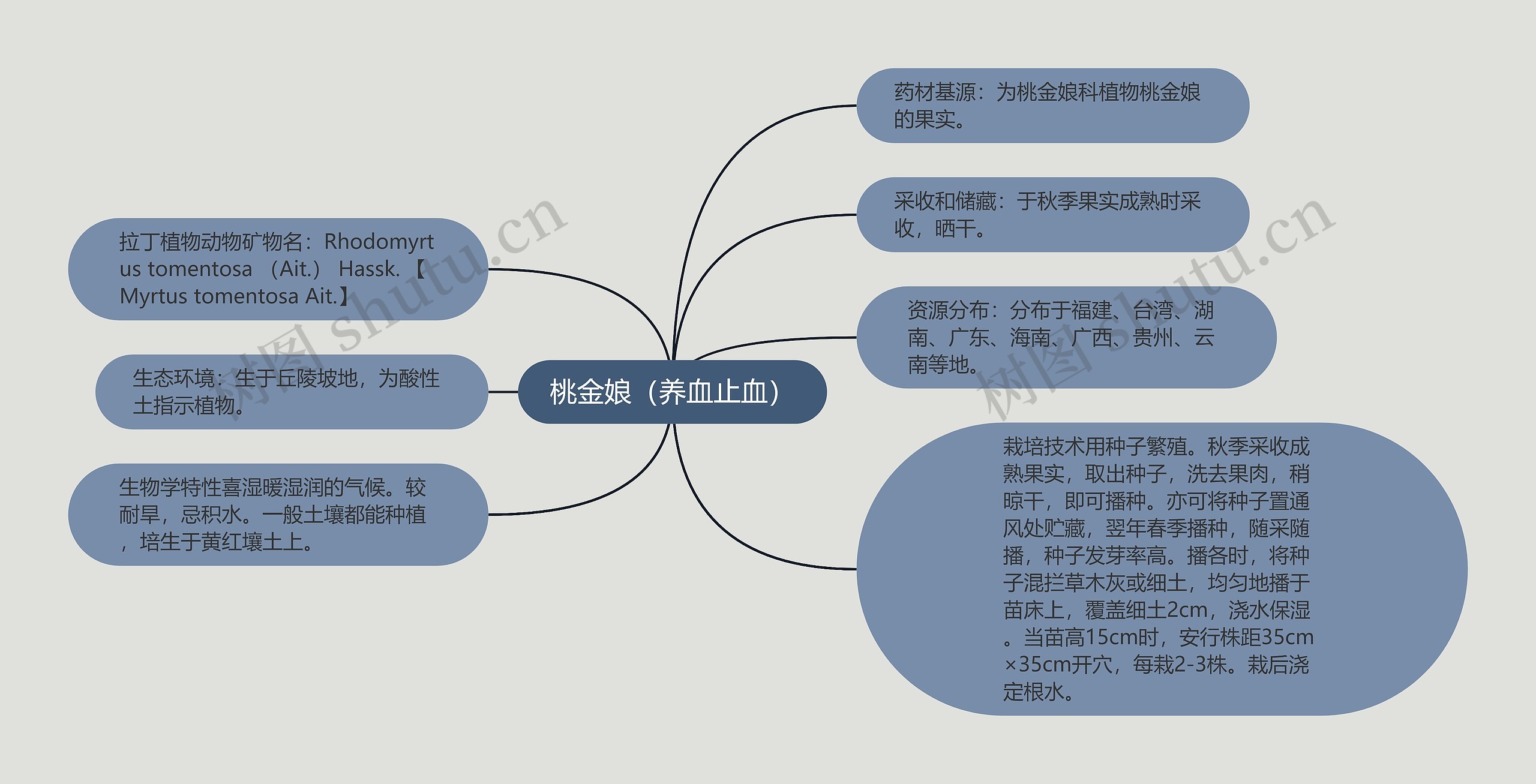 桃金娘（养血止血）思维导图