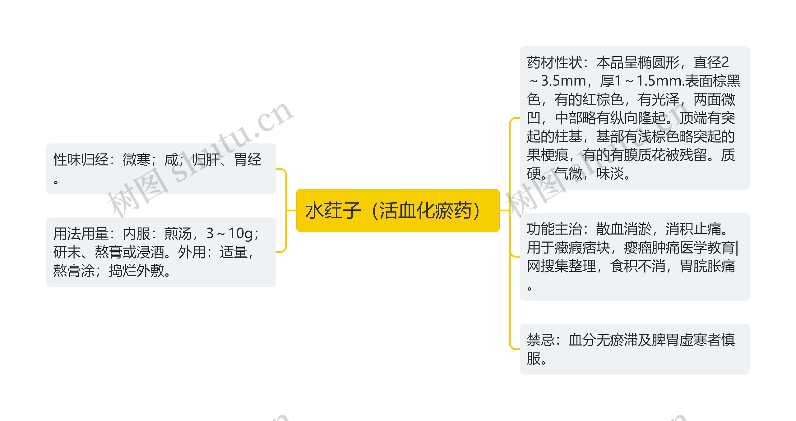 水荭子（活血化瘀药）思维导图