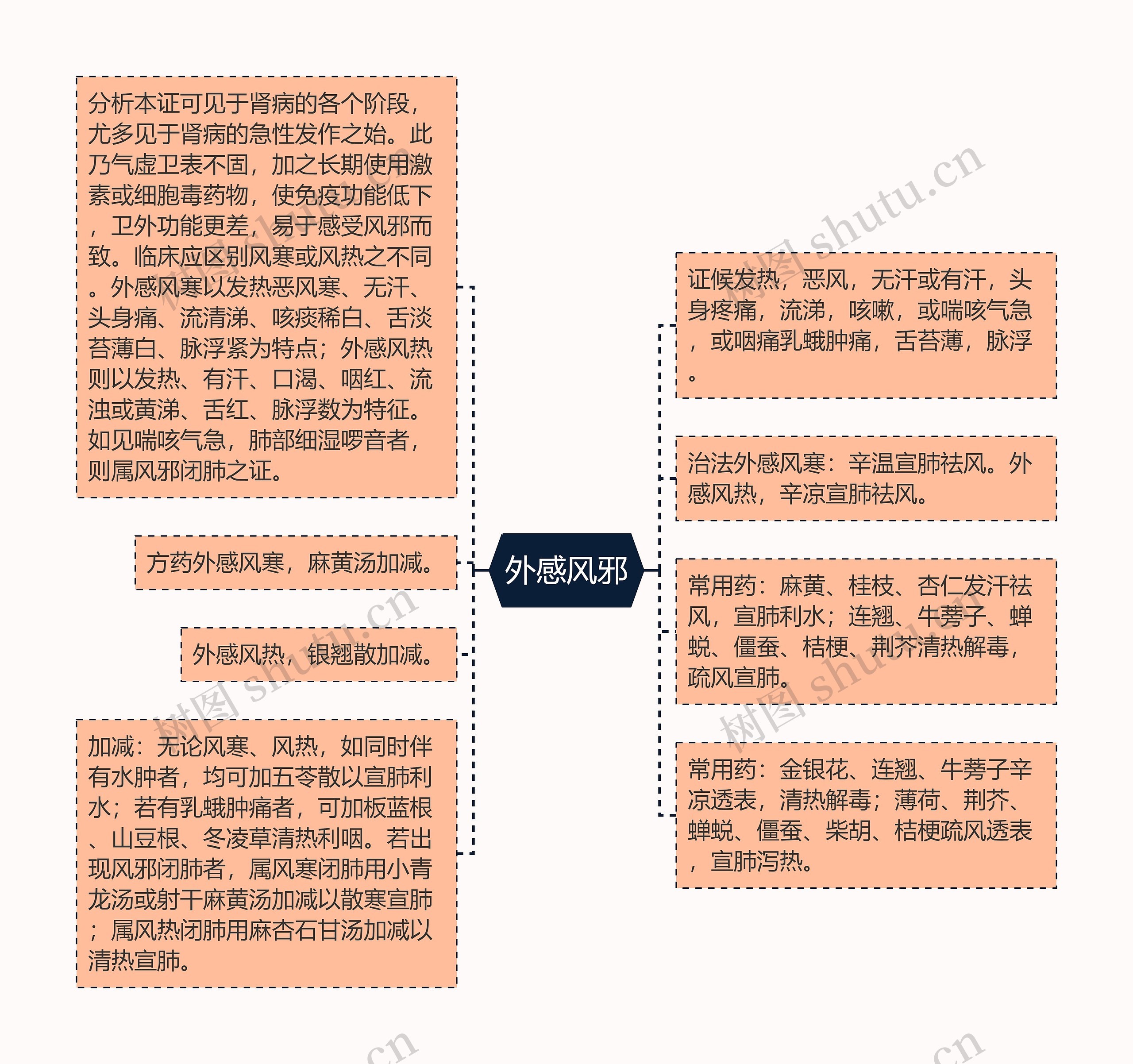 外感风邪思维导图