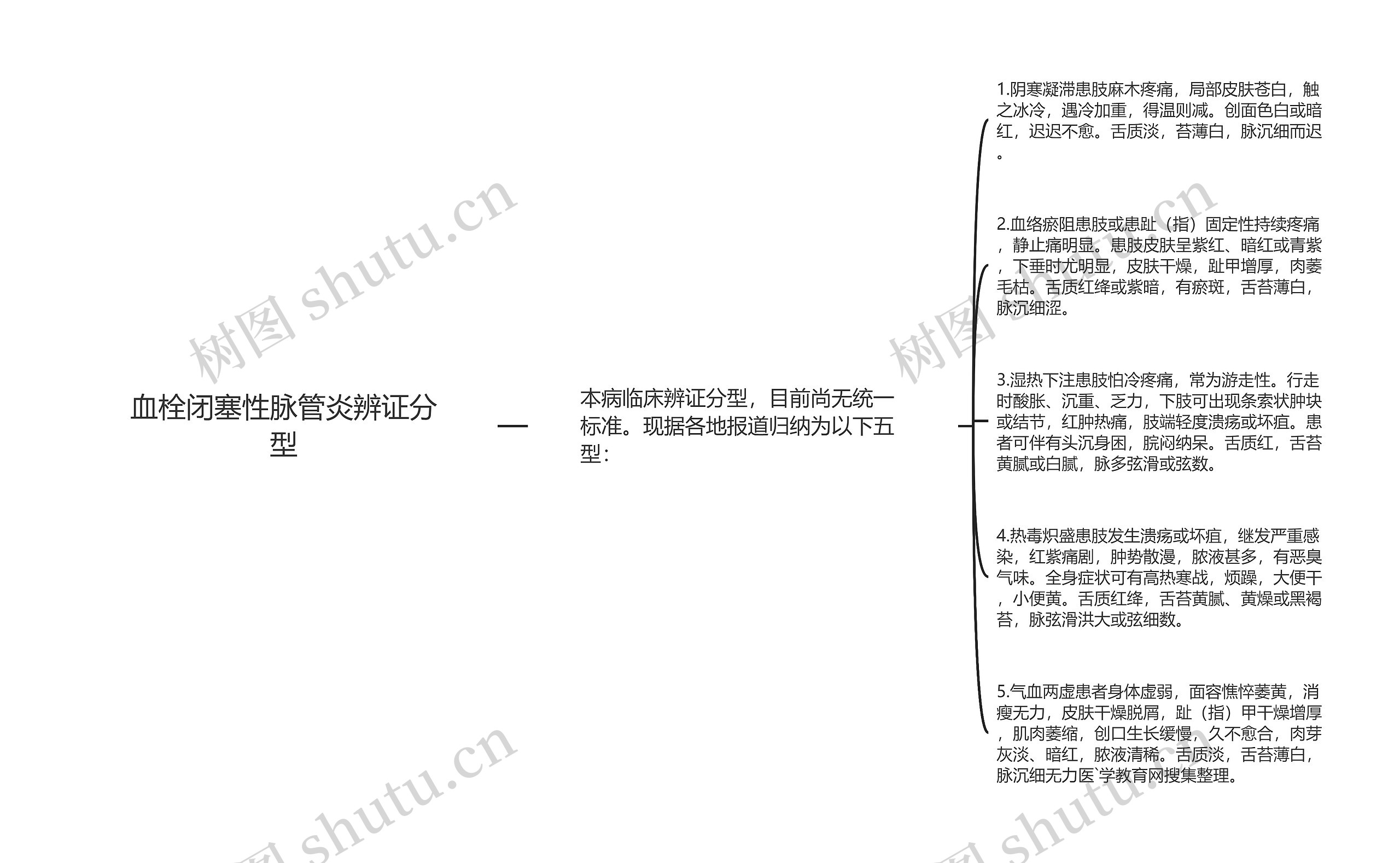 血栓闭塞性脉管炎辨证分型