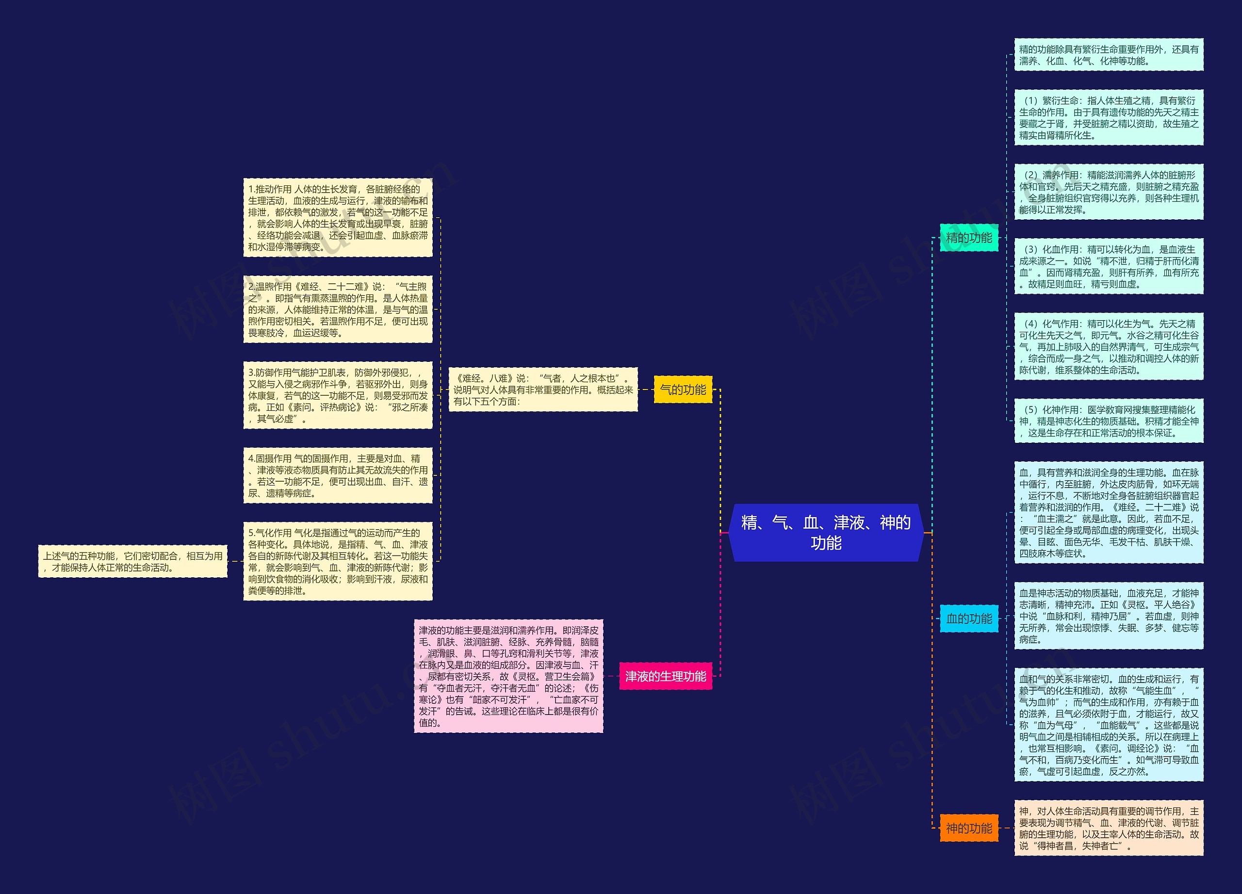 精、气、血、津液、神的功能思维导图