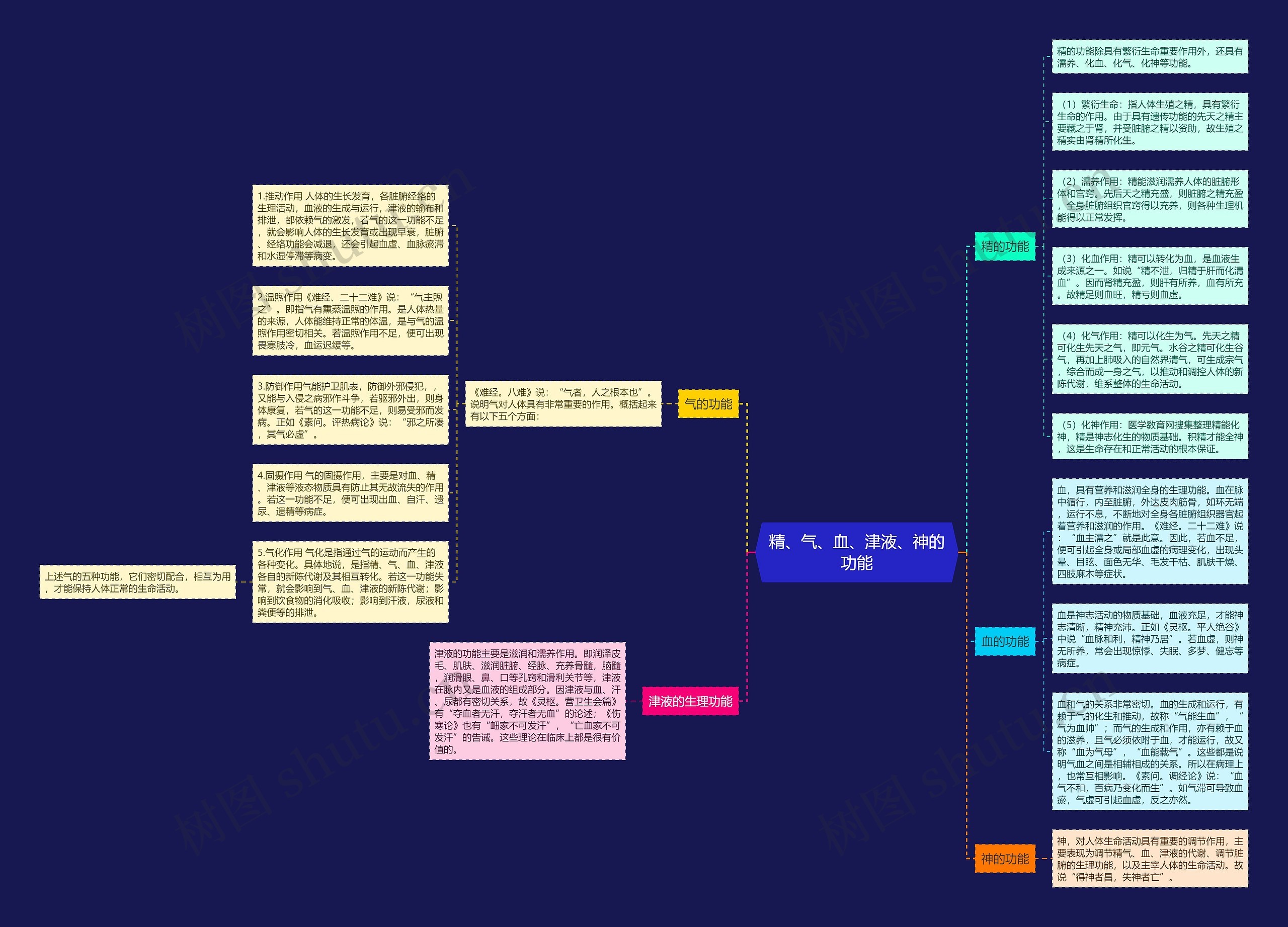 精、气、血、津液、神的功能 精、气、血、津液、神的功能