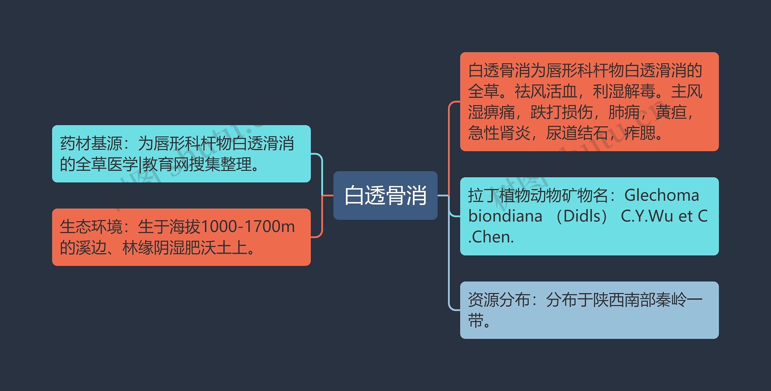 白透骨消思维导图