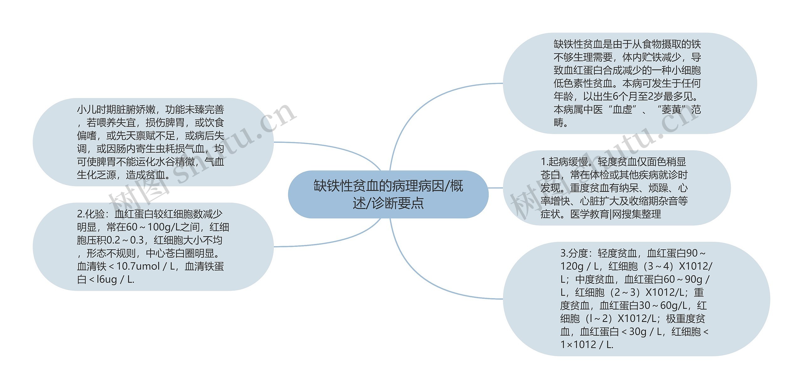 缺铁性贫血的病理病因/概述/诊断要点思维导图