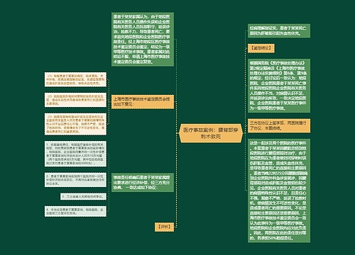 医疗事故案例：腰背部穿刺术致死