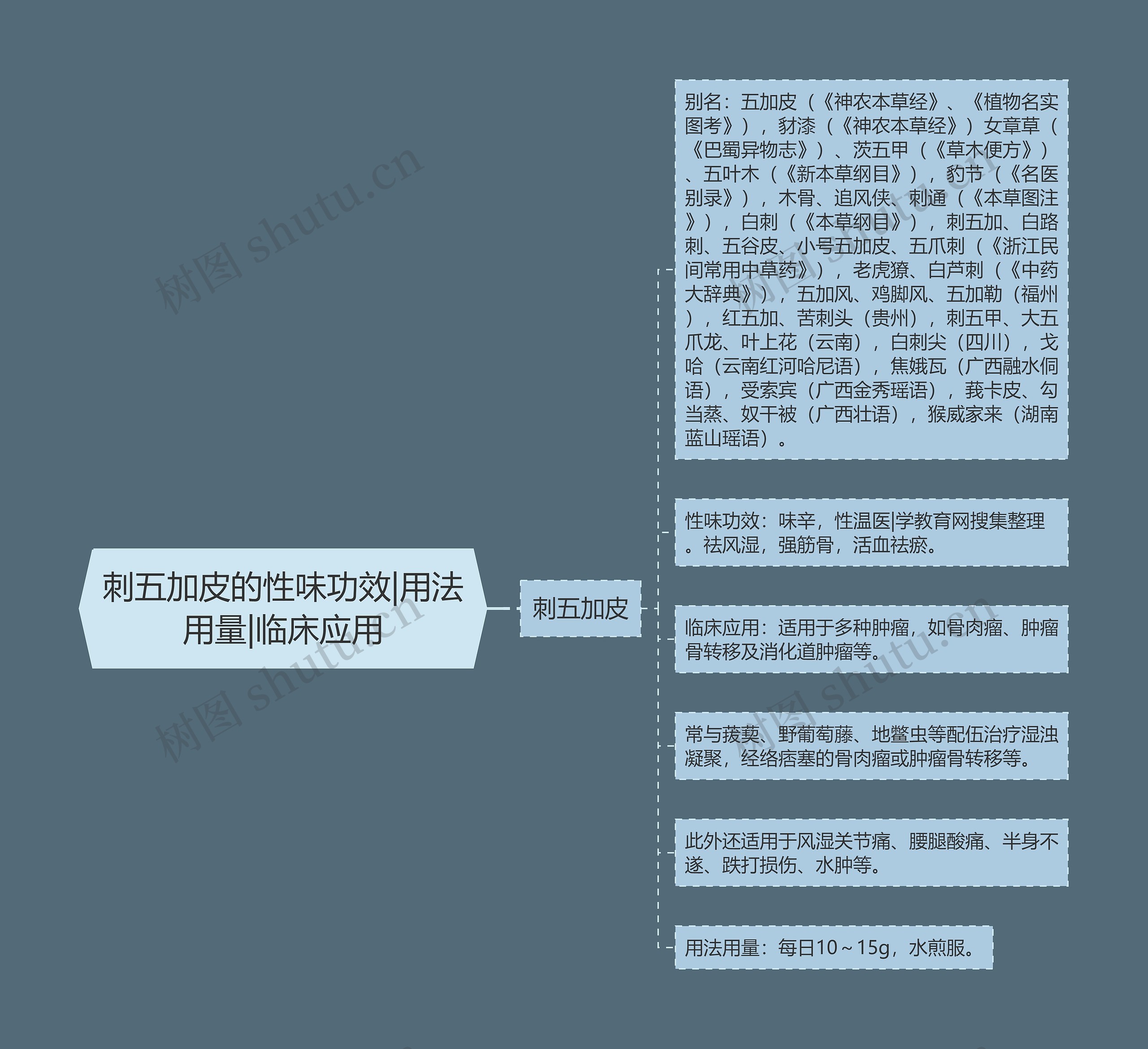 刺五加皮的性味功效|用法用量|临床应用思维导图