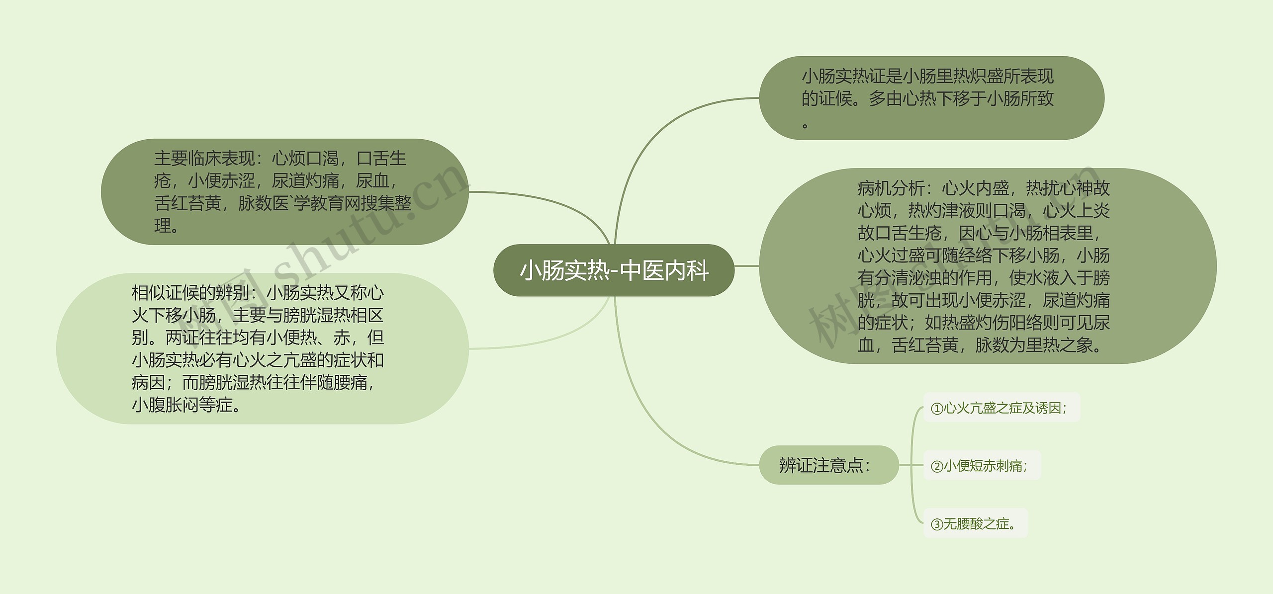 小肠实热-中医内科思维导图