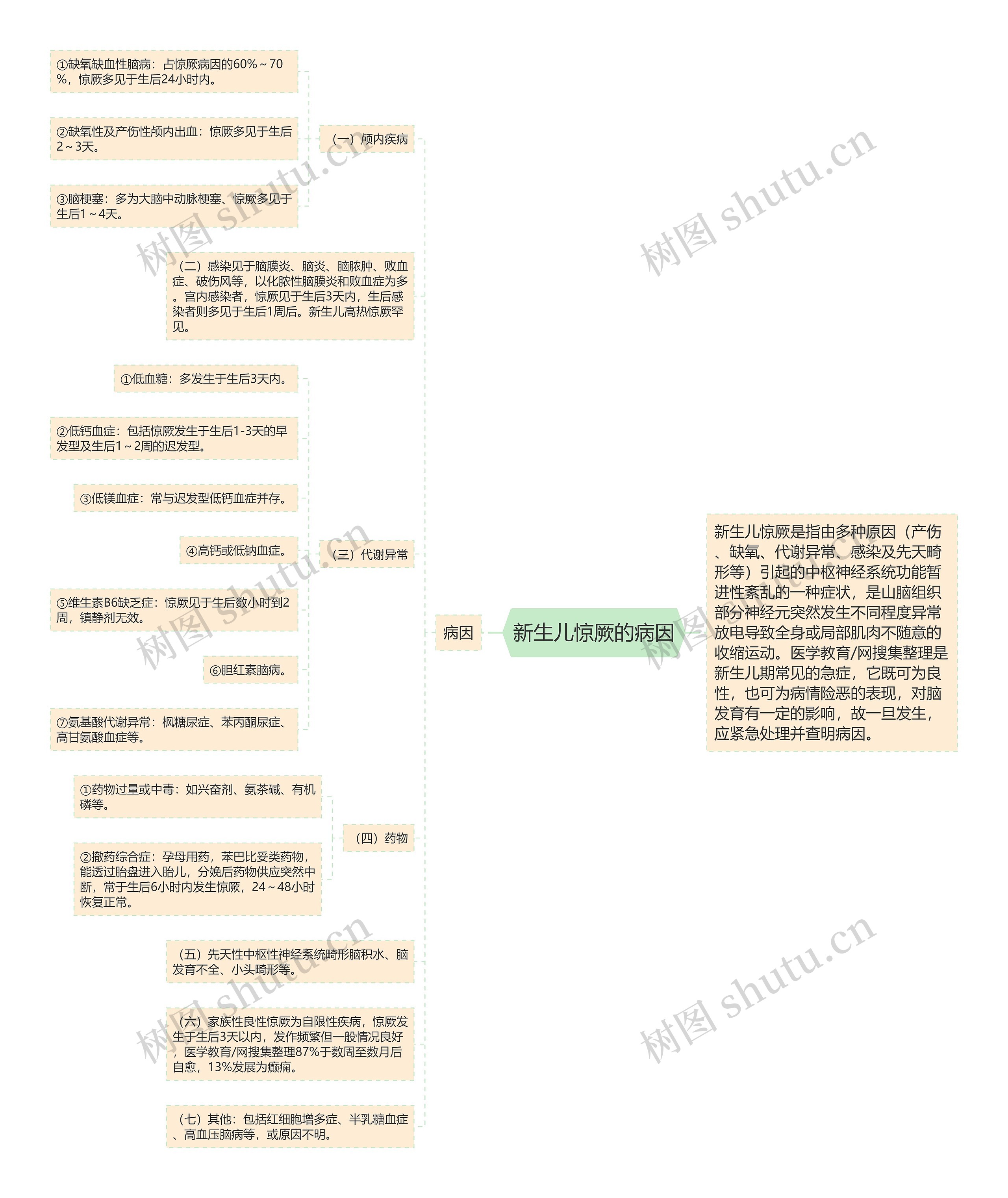 新生儿惊厥的病因思维导图