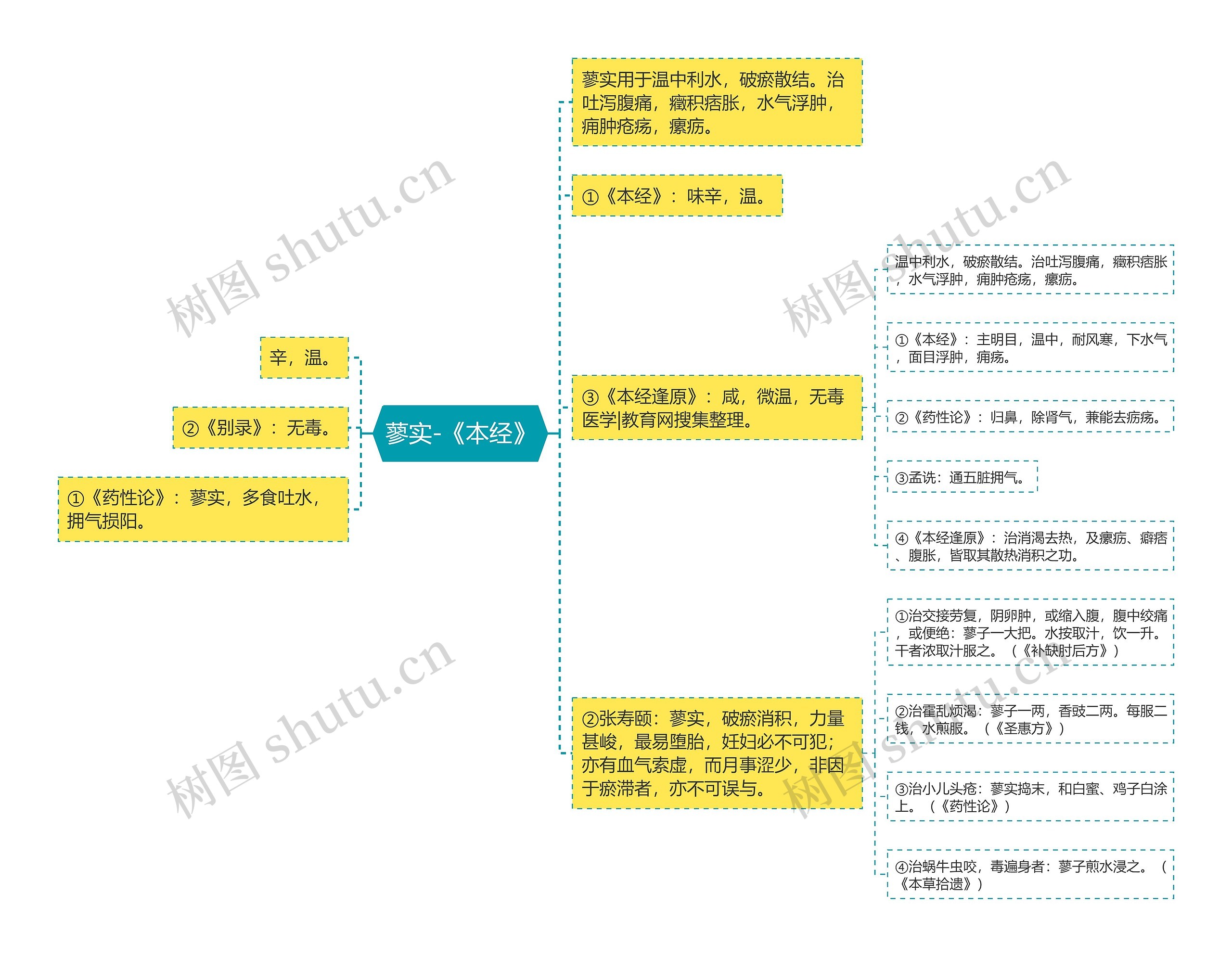 蓼实-《本经》思维导图