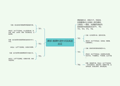 踝部-腕踝针进针点及其适应证