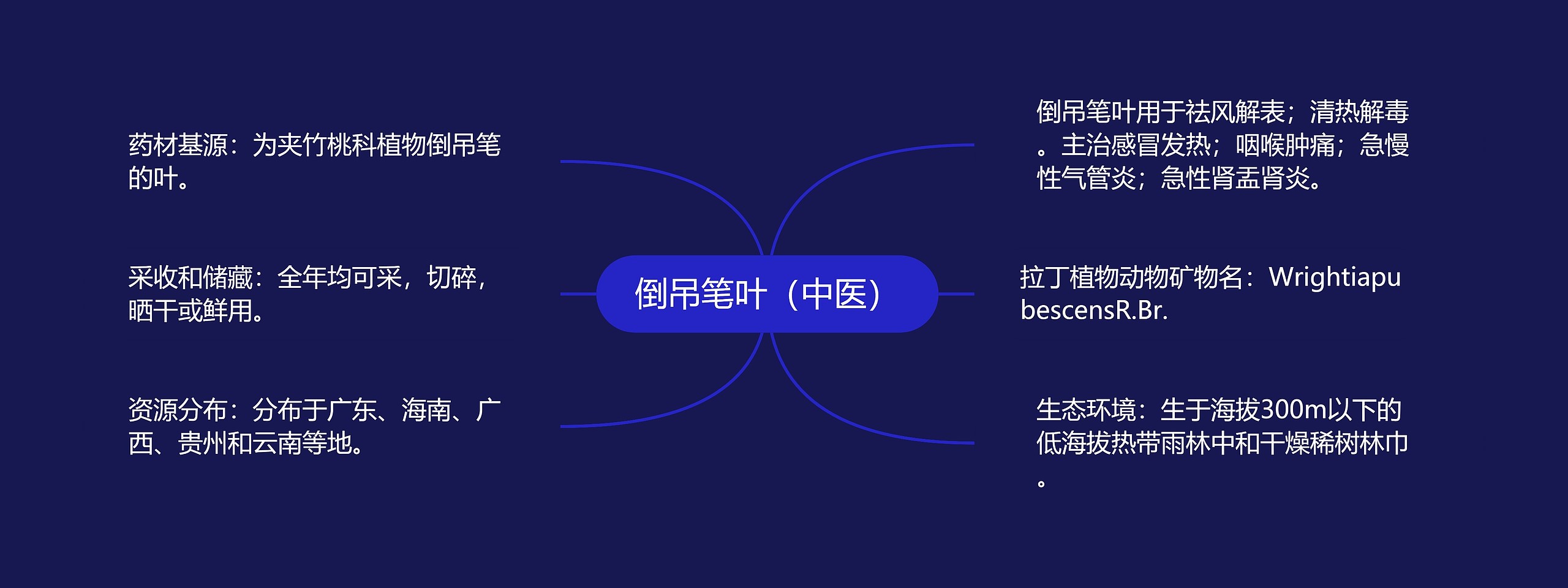 倒吊笔叶（中医）思维导图