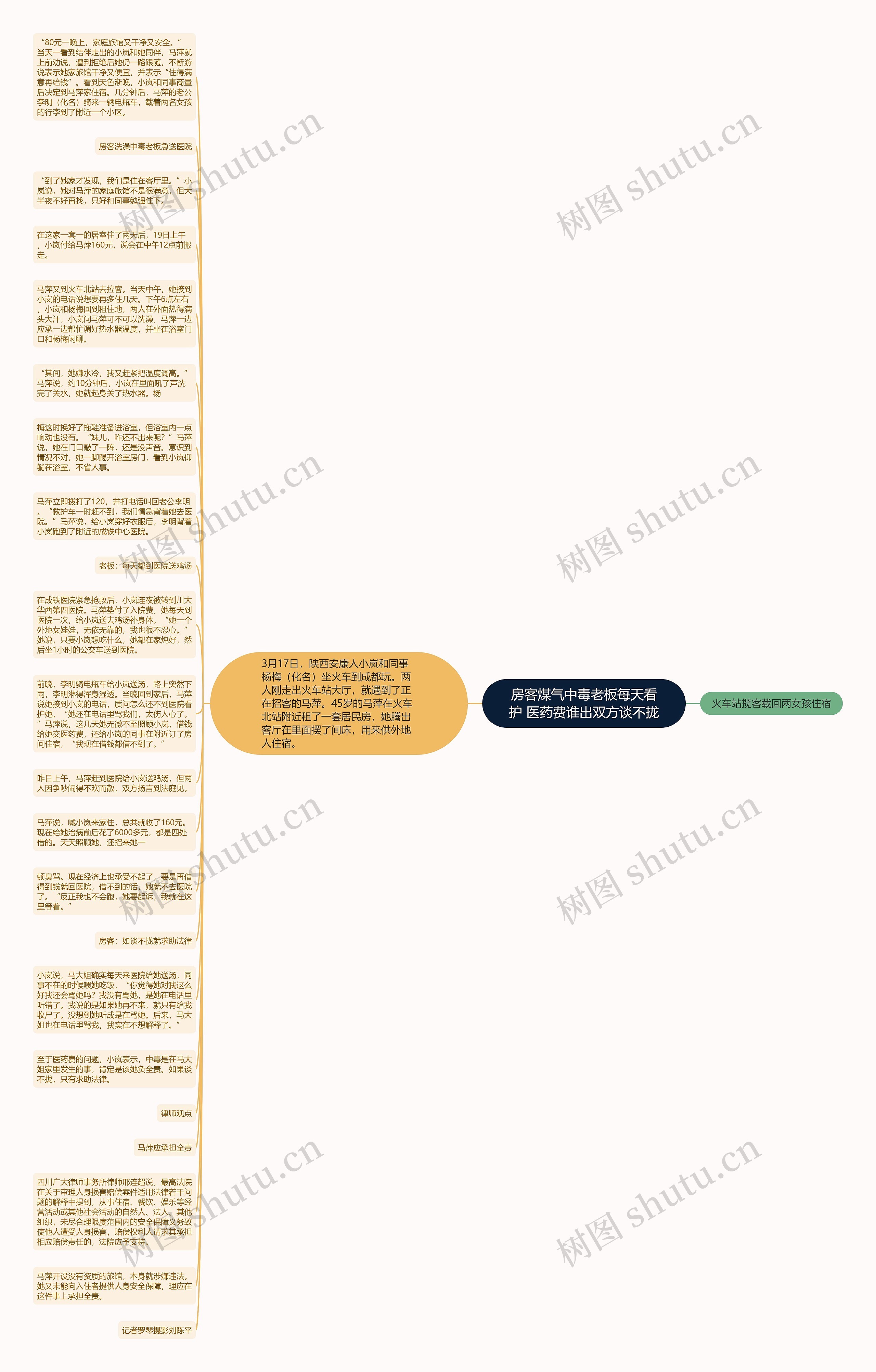 房客煤气中毒老板每天看护 医药费谁出双方谈不拢思维导图