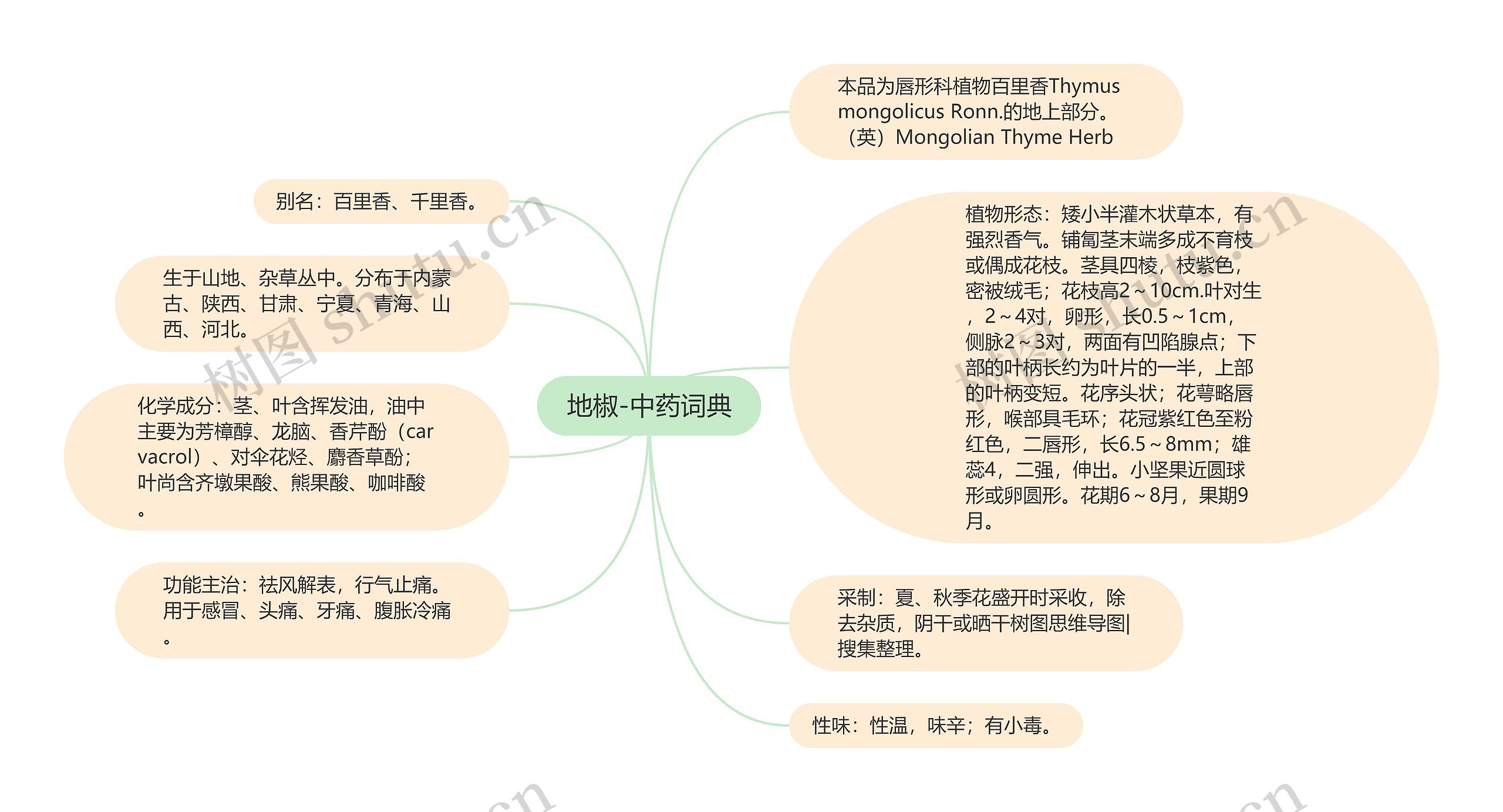 地椒-中药词典思维导图